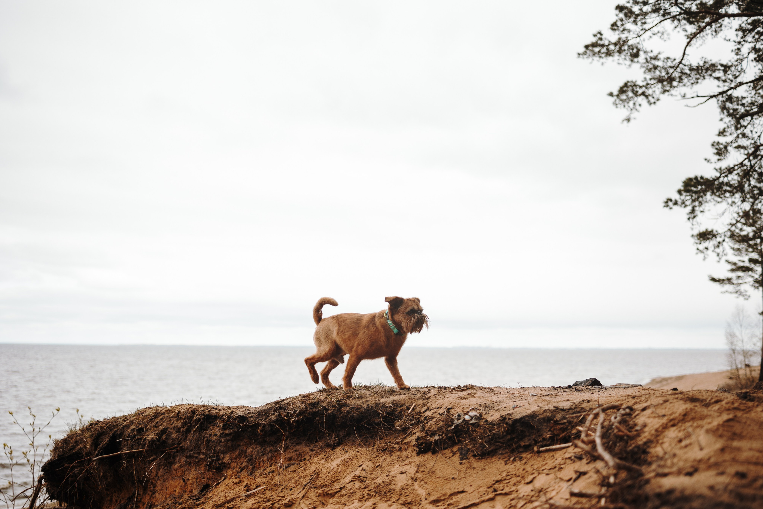 Вера и ее семья. Фотограф — Анималист | Санкт-Петербург