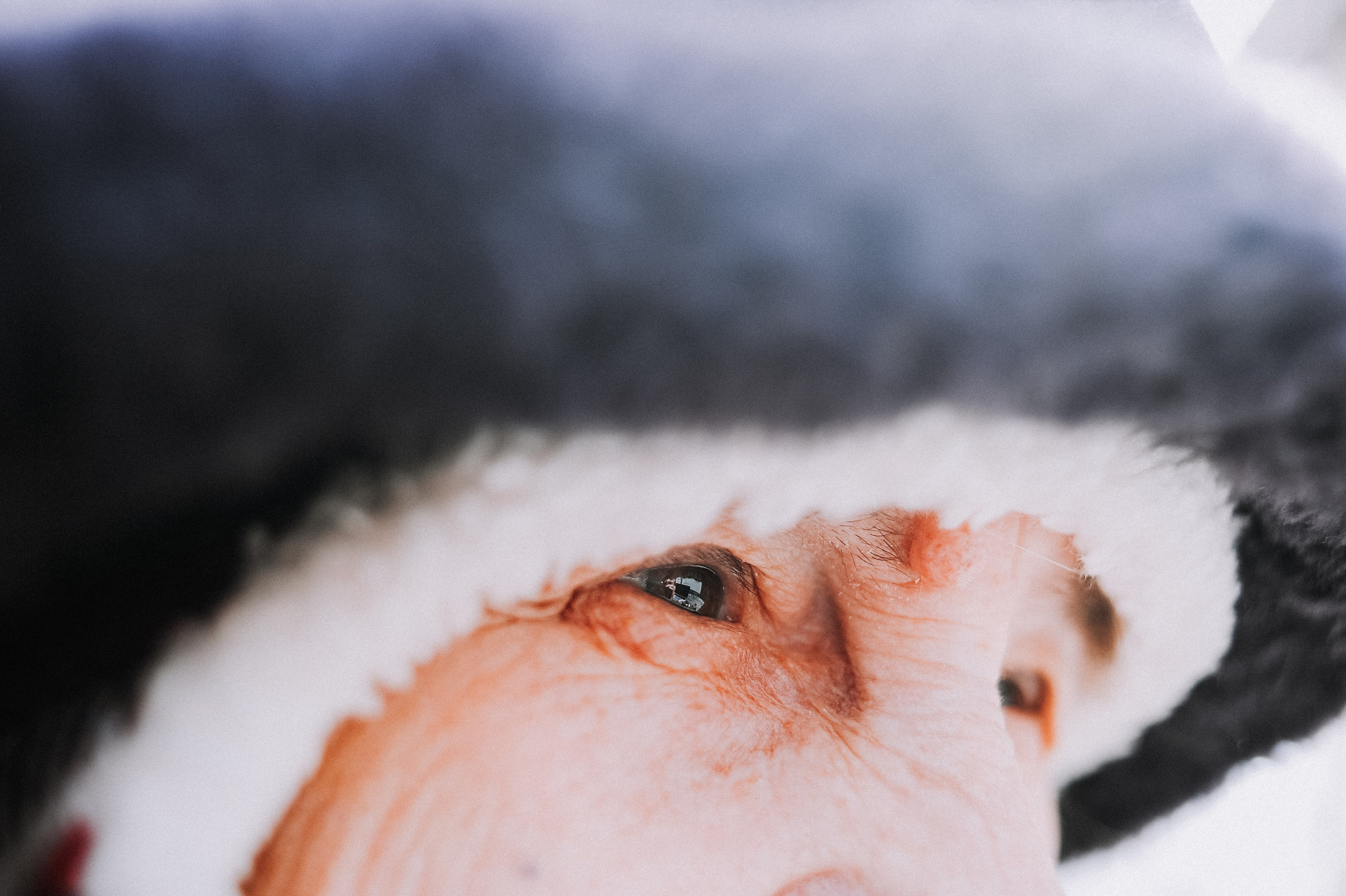 ПРОЕКТ: МОЯ БАБУШКА ХОЧЕТ УМЕРЕТЬ. Фотограф