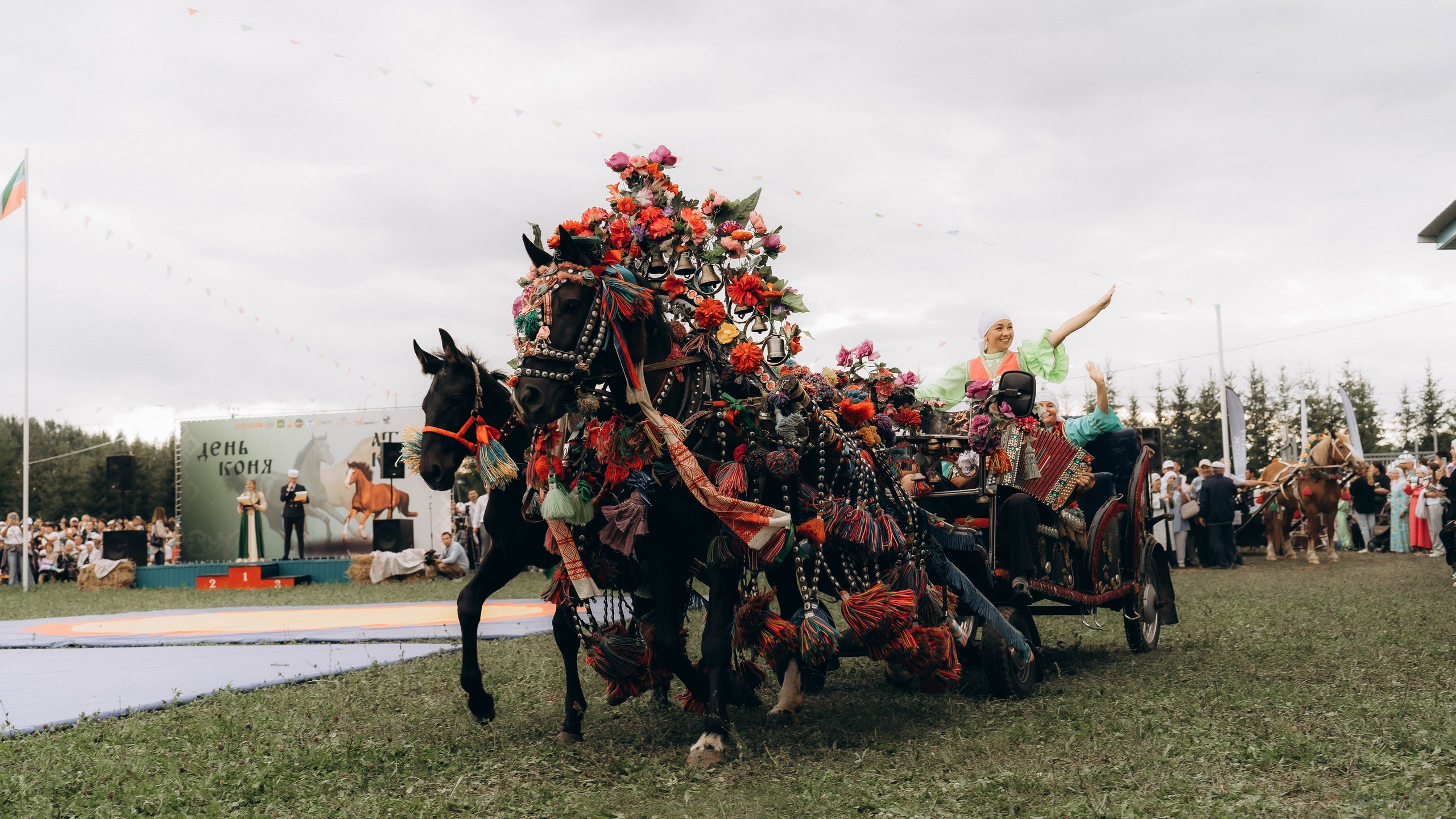 День Коня. Алиса Никитцова | Фотограф в Казани