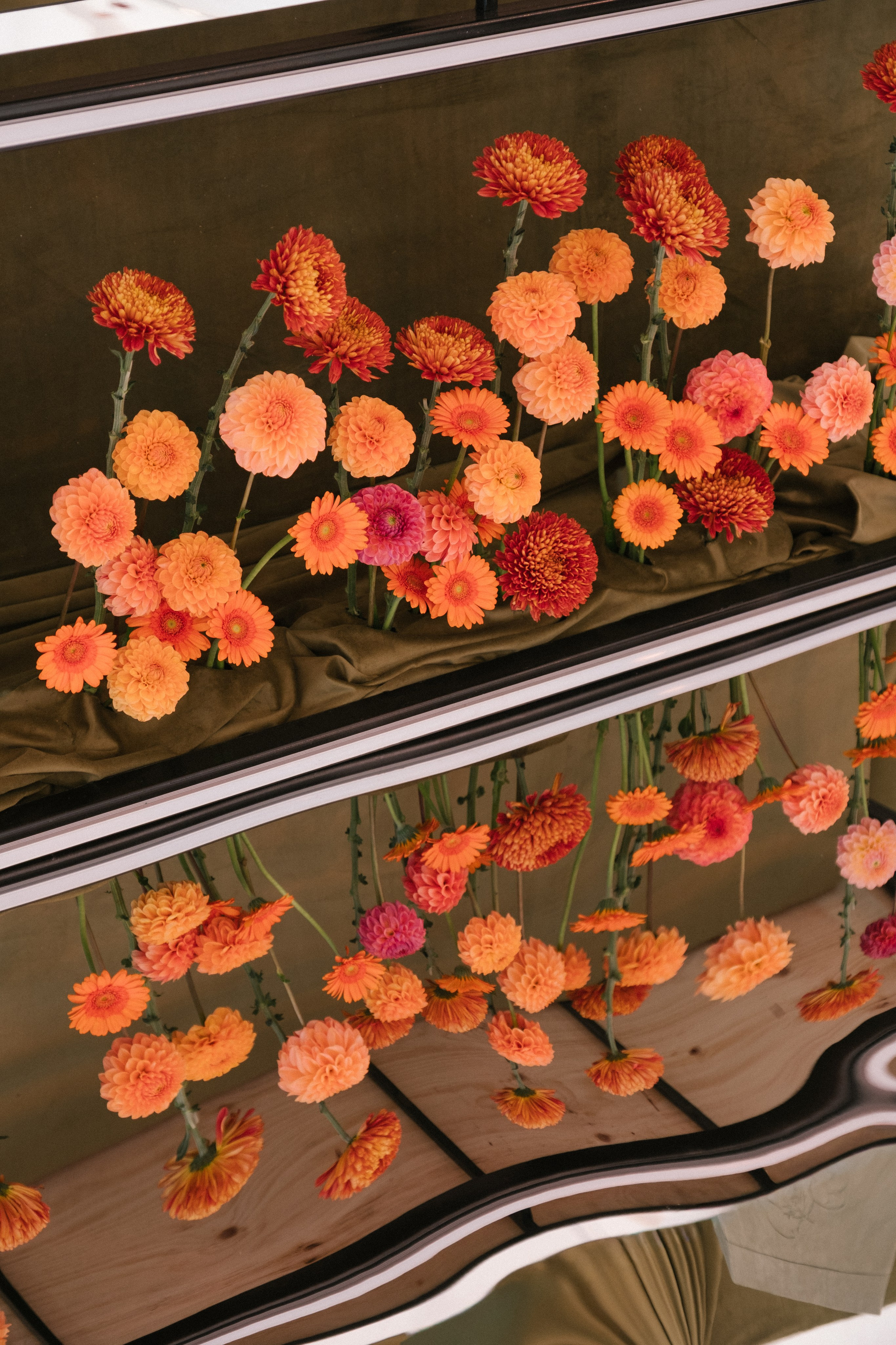 Сирак / Вероника. Свадебный Видеограф Фотограф в Сочи