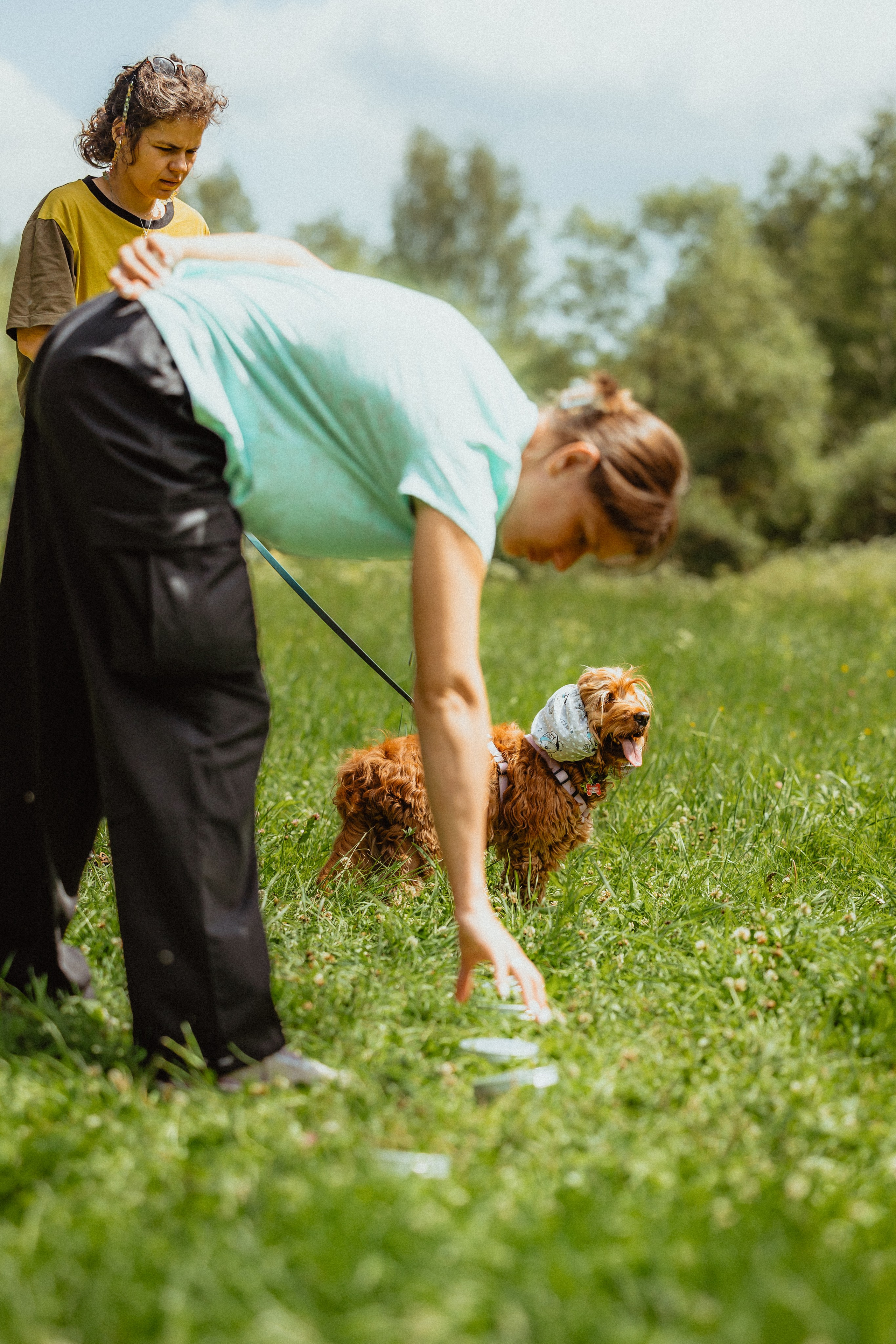 Выездной дог-тренинг от школы «Шерсть имею»