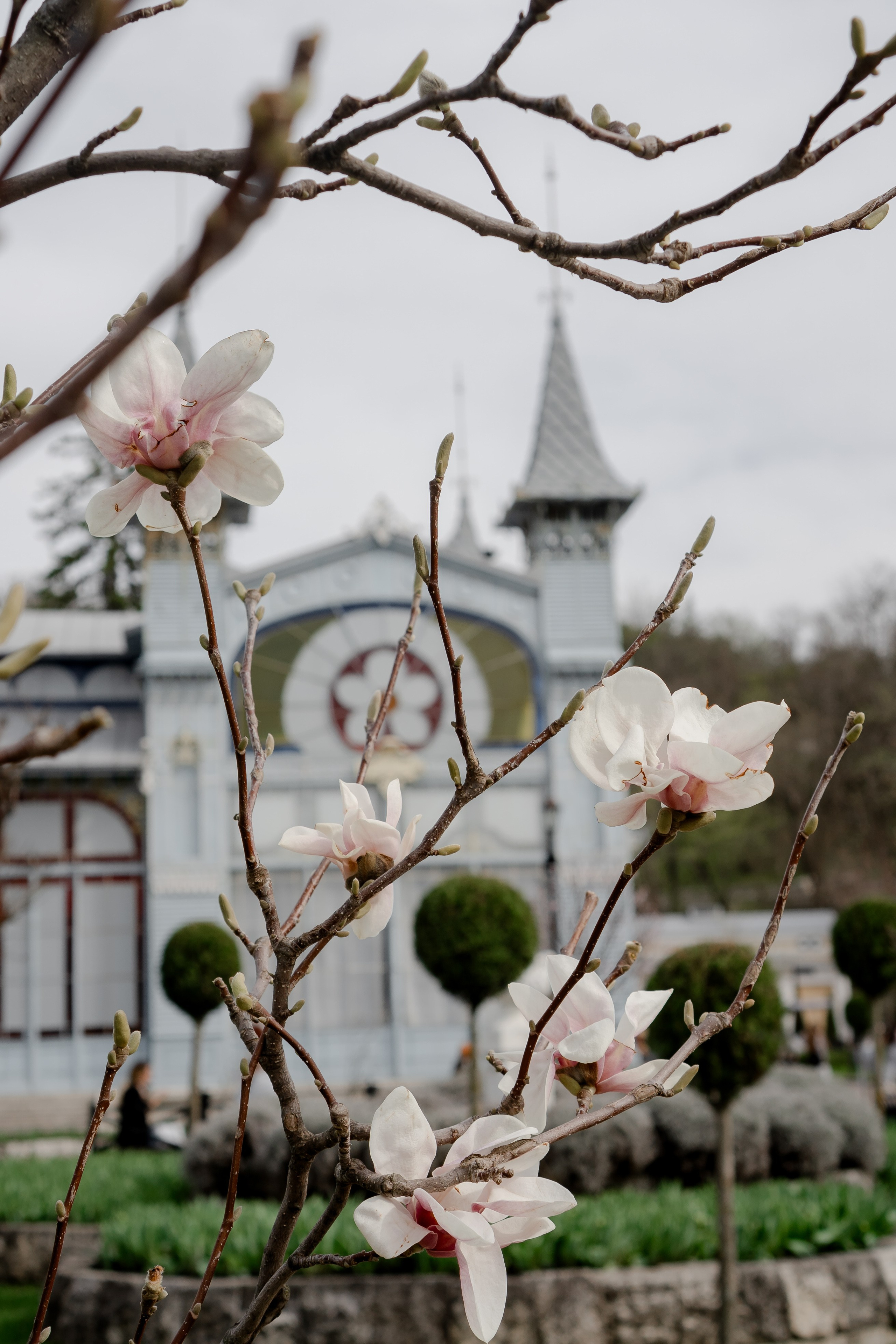 ПЯТИГОРСК. Профессиональный фотограф, Санкт-Петербург — Виктория Богомолова