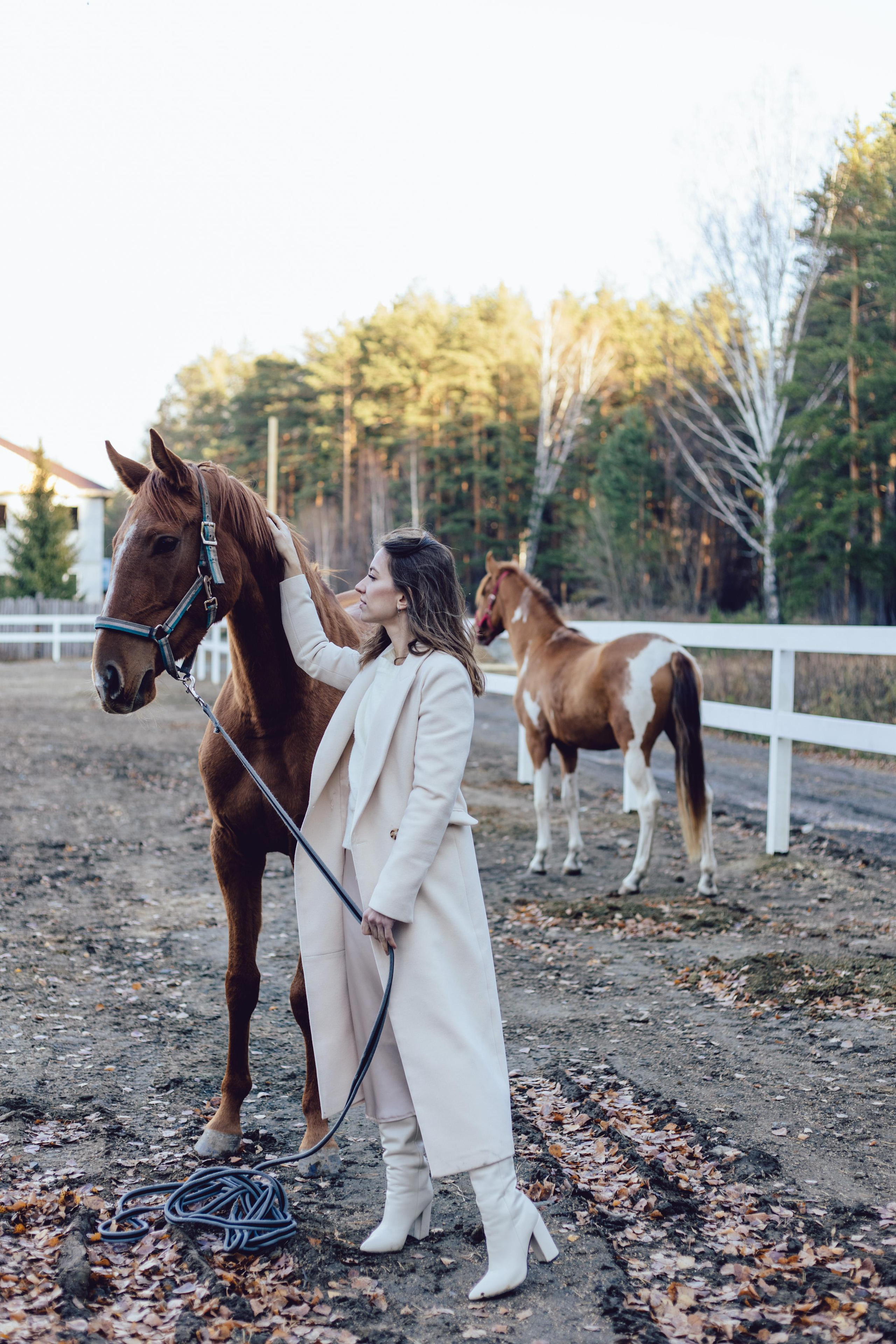 Любовь. Главная