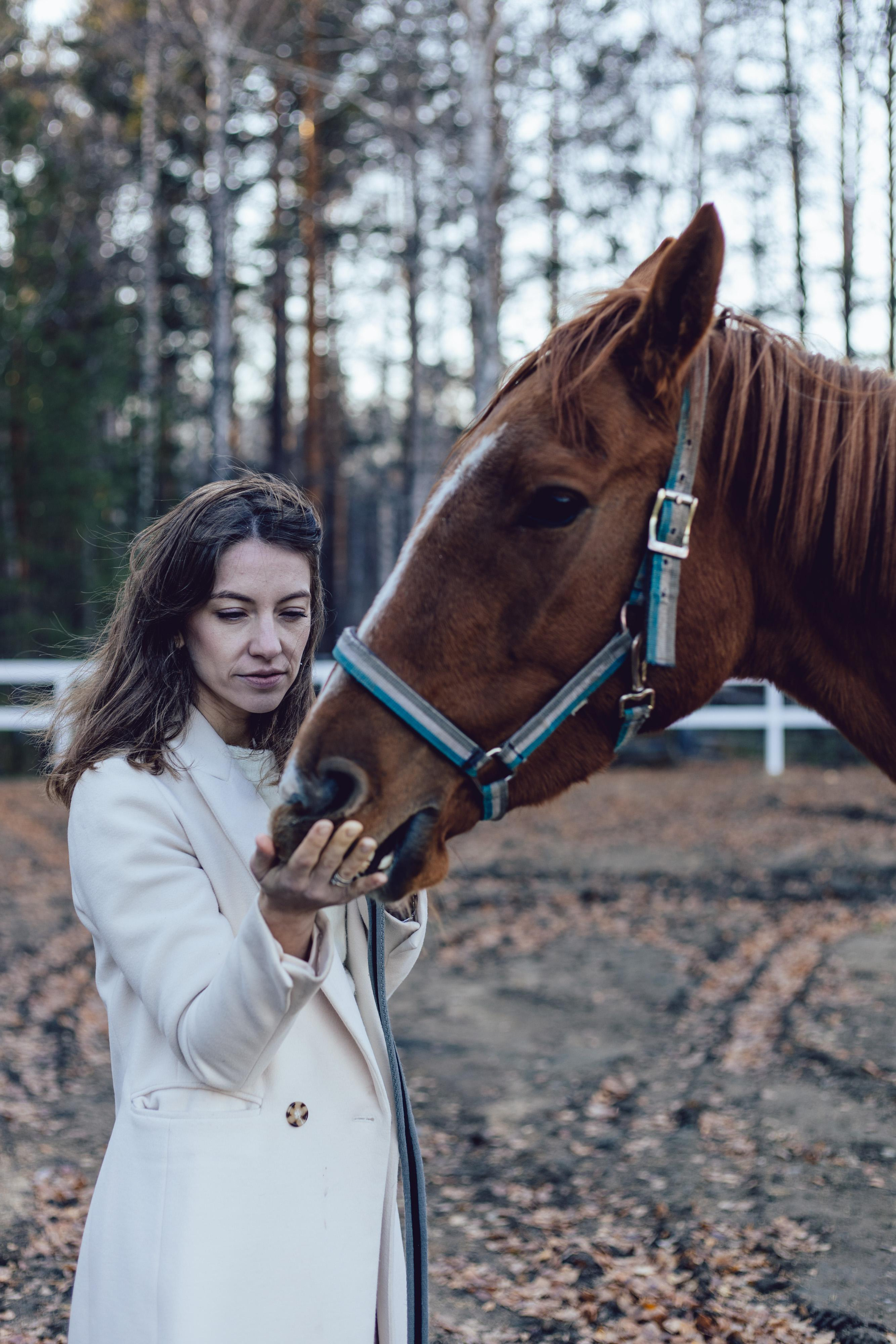 Любовь. Главная