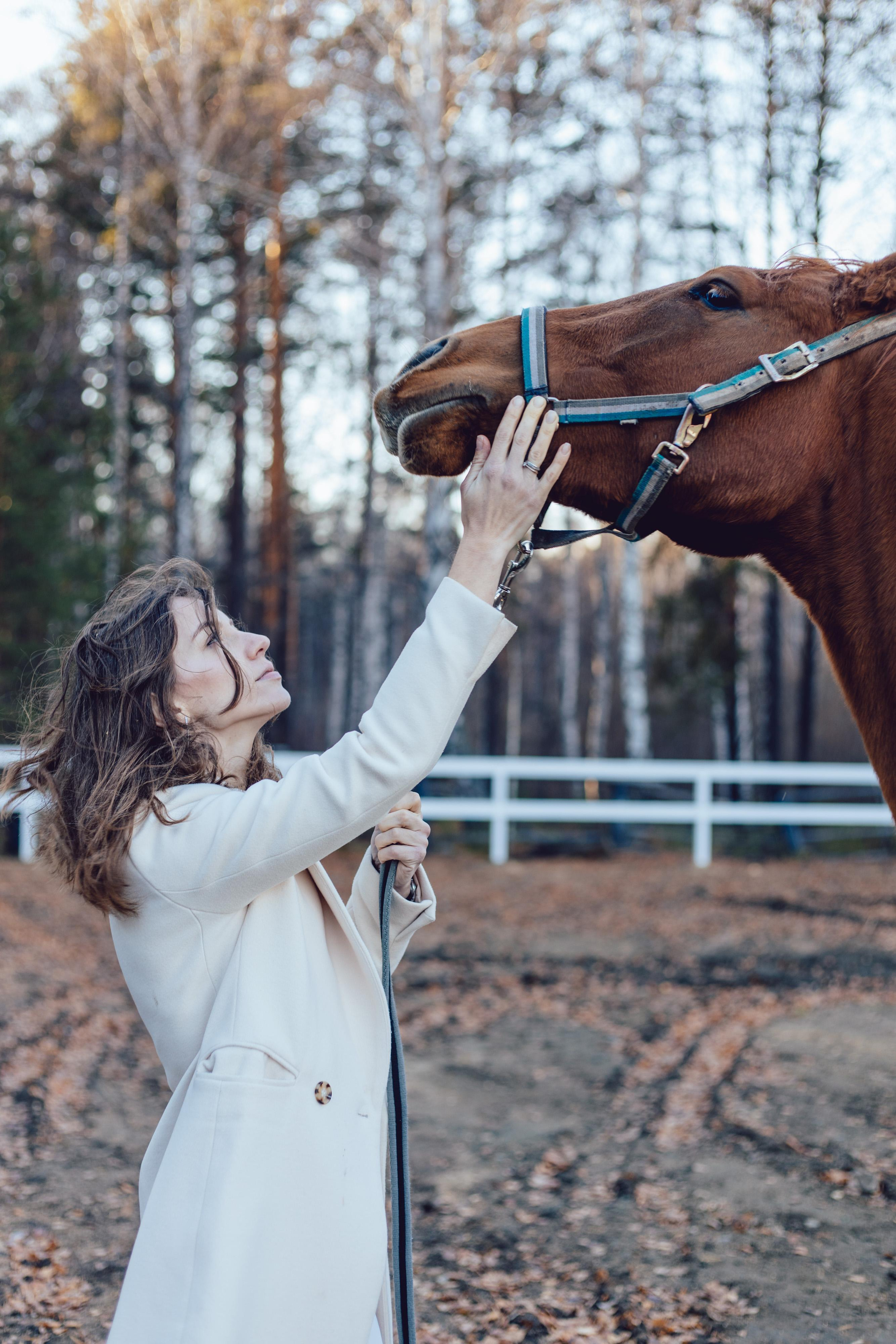 Любовь. Главная