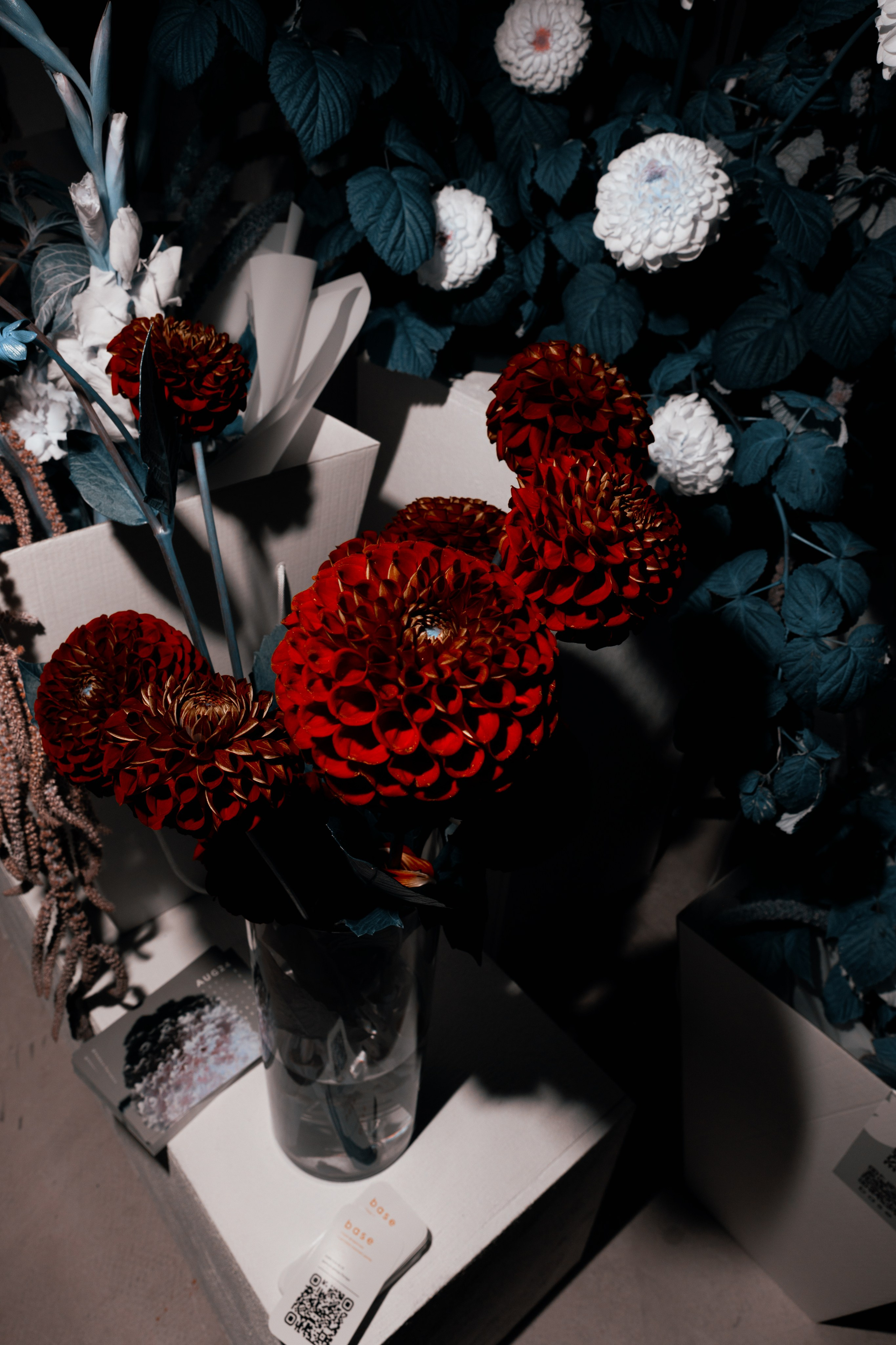 AUXI Ardor 2024. Fashion Фотограф в СПб Yana Kochkina