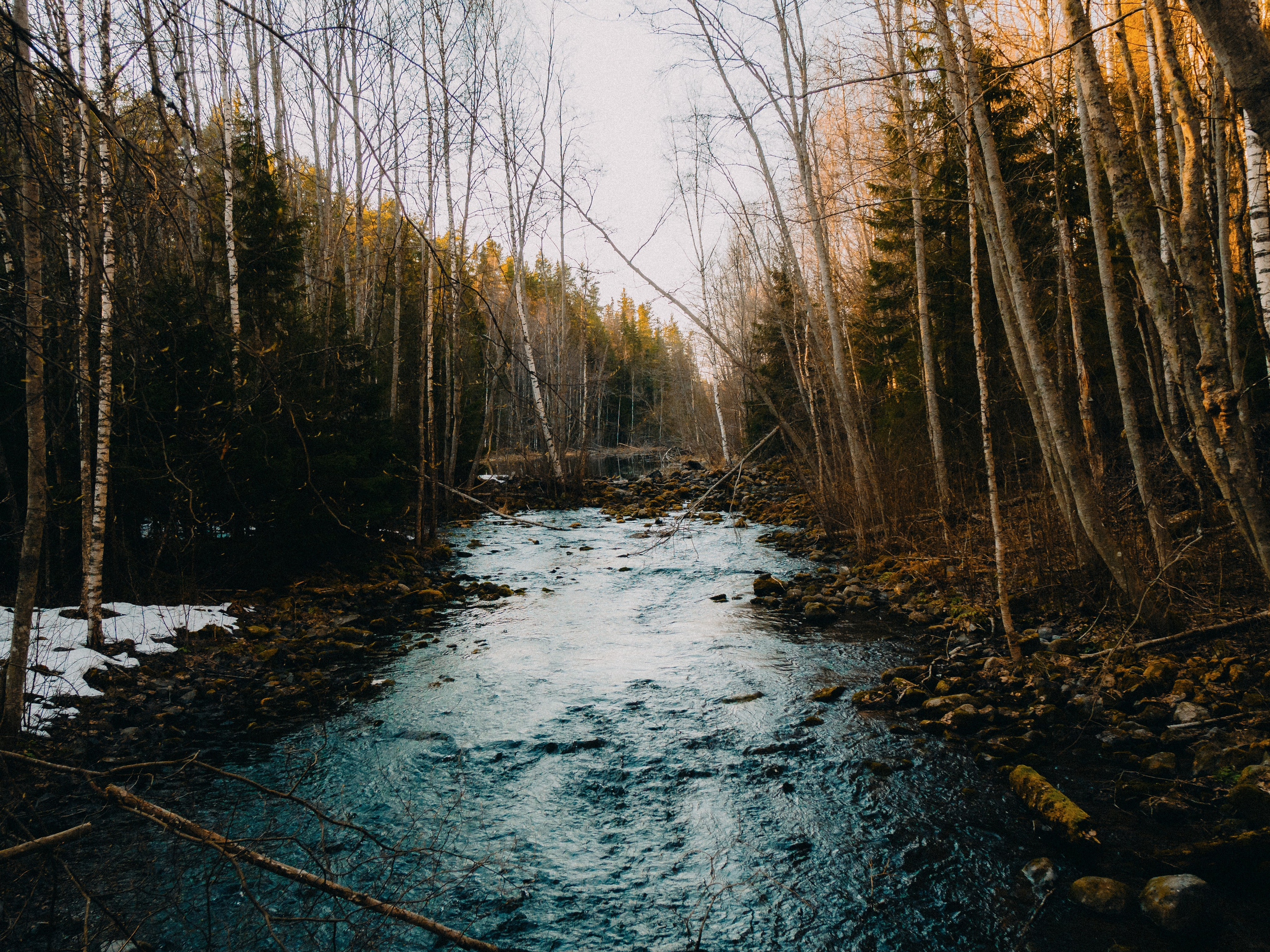 Карелия '23. Фёдор Малюгин. Ваш бади в визуале