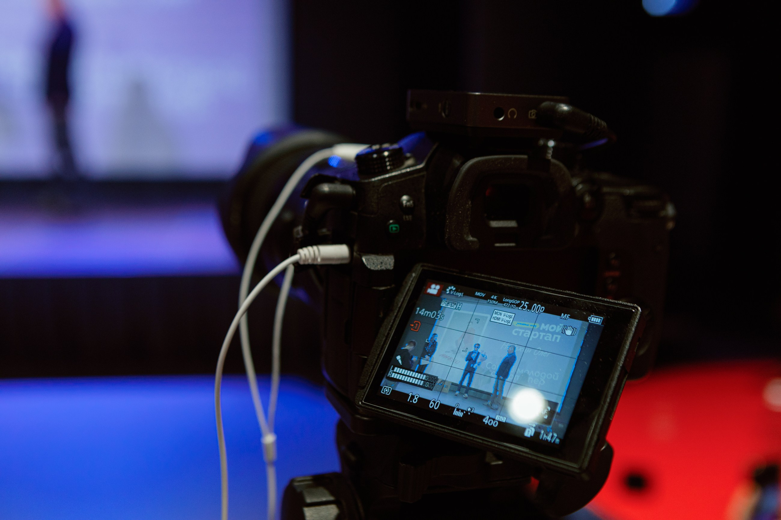 Мой стартап. LEVORIGINAL