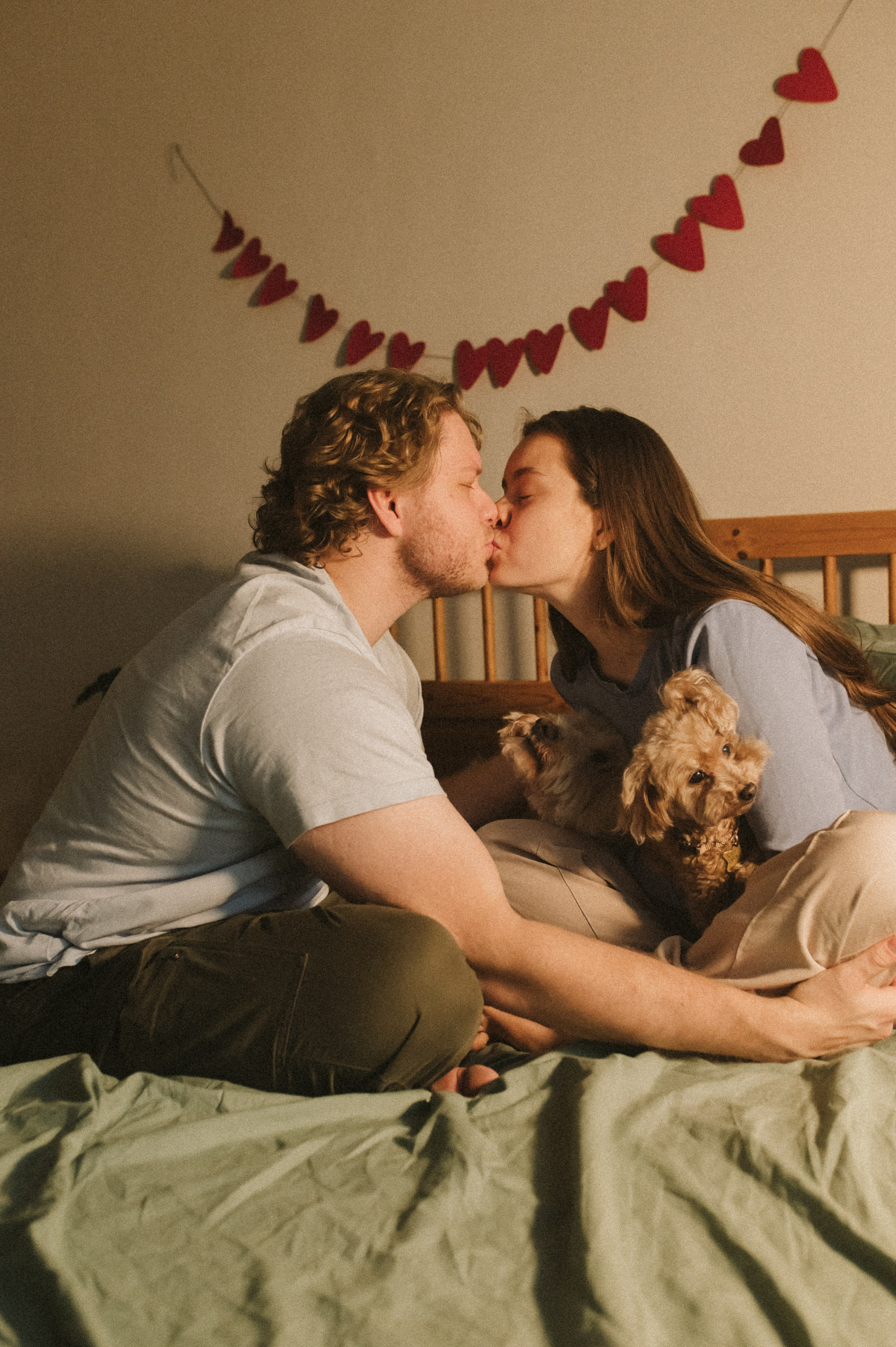 Ання и её кудрявая команда. Фотограф анималист в Москве Ольга Агушева