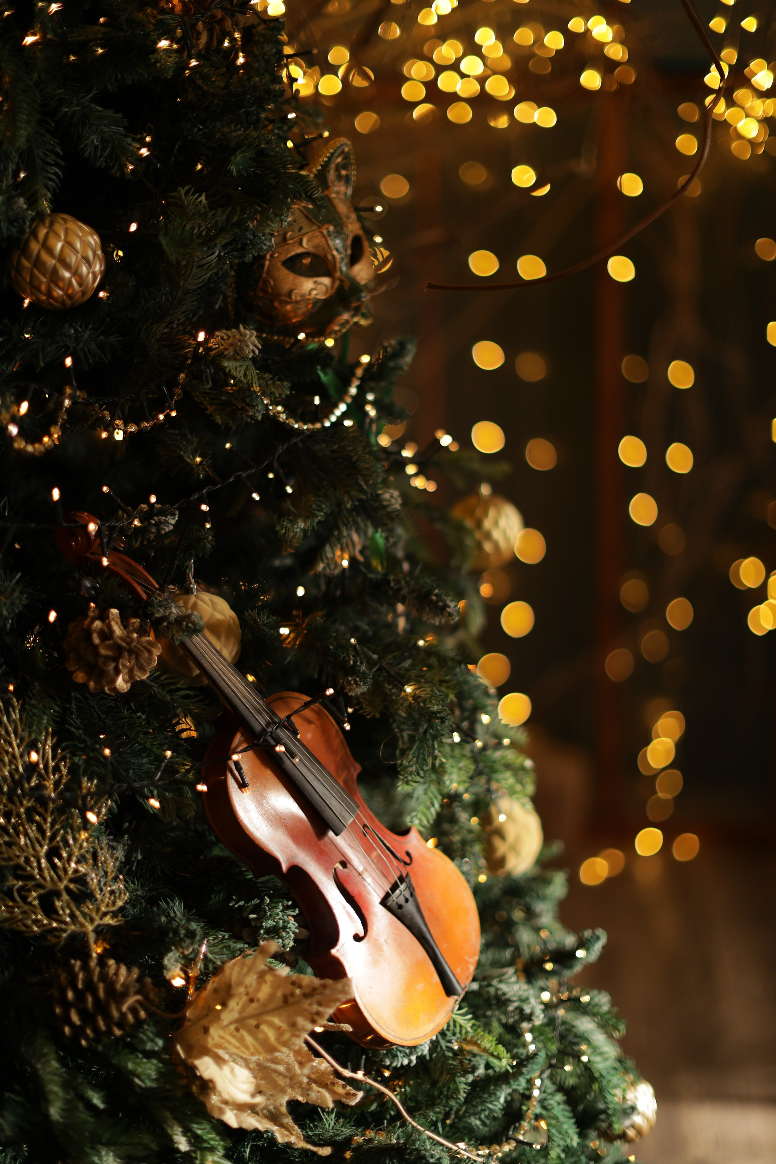 Фотостудия «Роял» зал Теплица. Свадебный фотограф в Ростове Александра Груздева