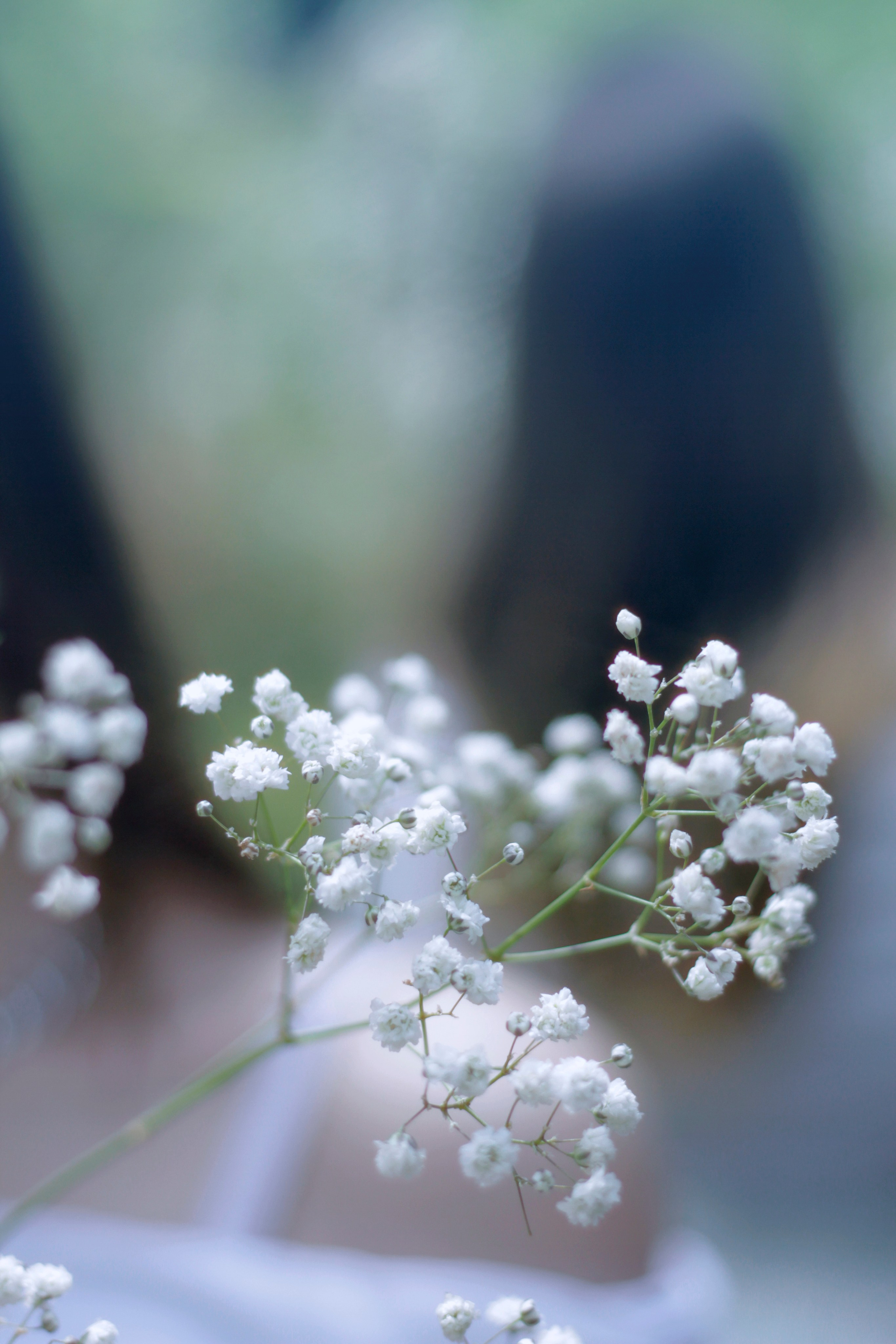 Летняя фотопрогулка в лесу. Espero Photographer — Фотограф в Санкт-Петербурге