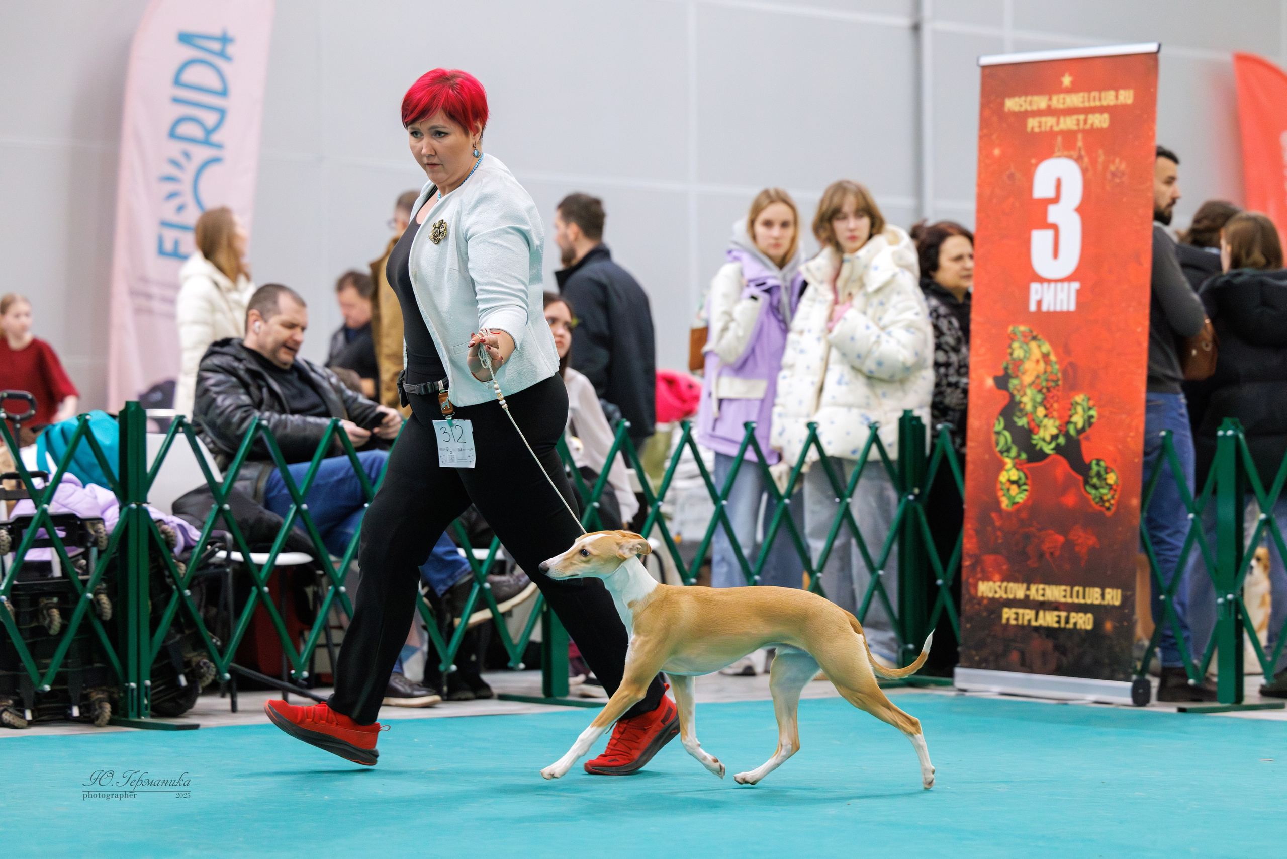 Гран-При 8.02.2025 и Крокус 09.02.2025. Фотограф-анималист Юлия Германика