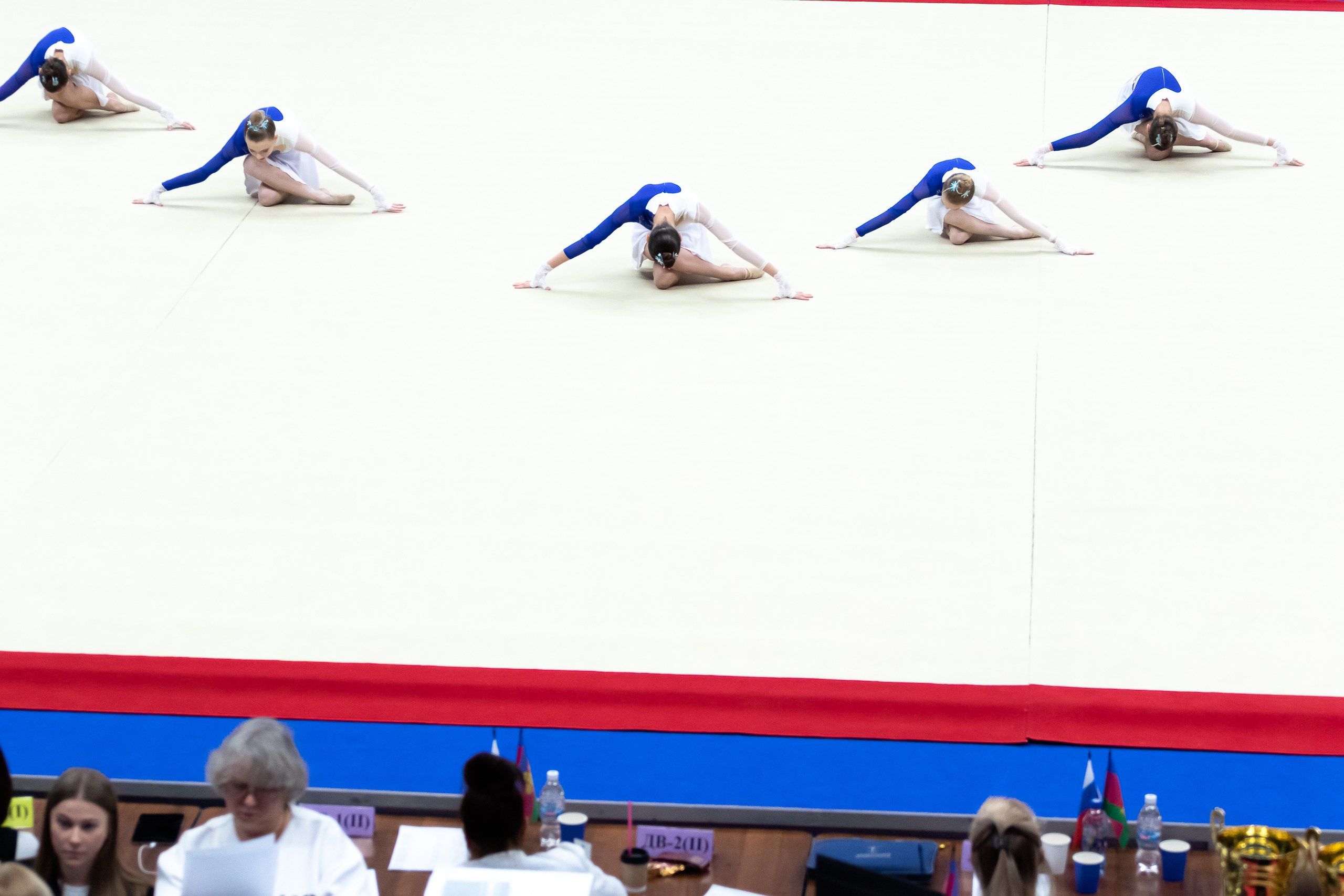 Кубок Губернатора по гимнастике 2025. Фотограф из Краснодара Андрей Тукан