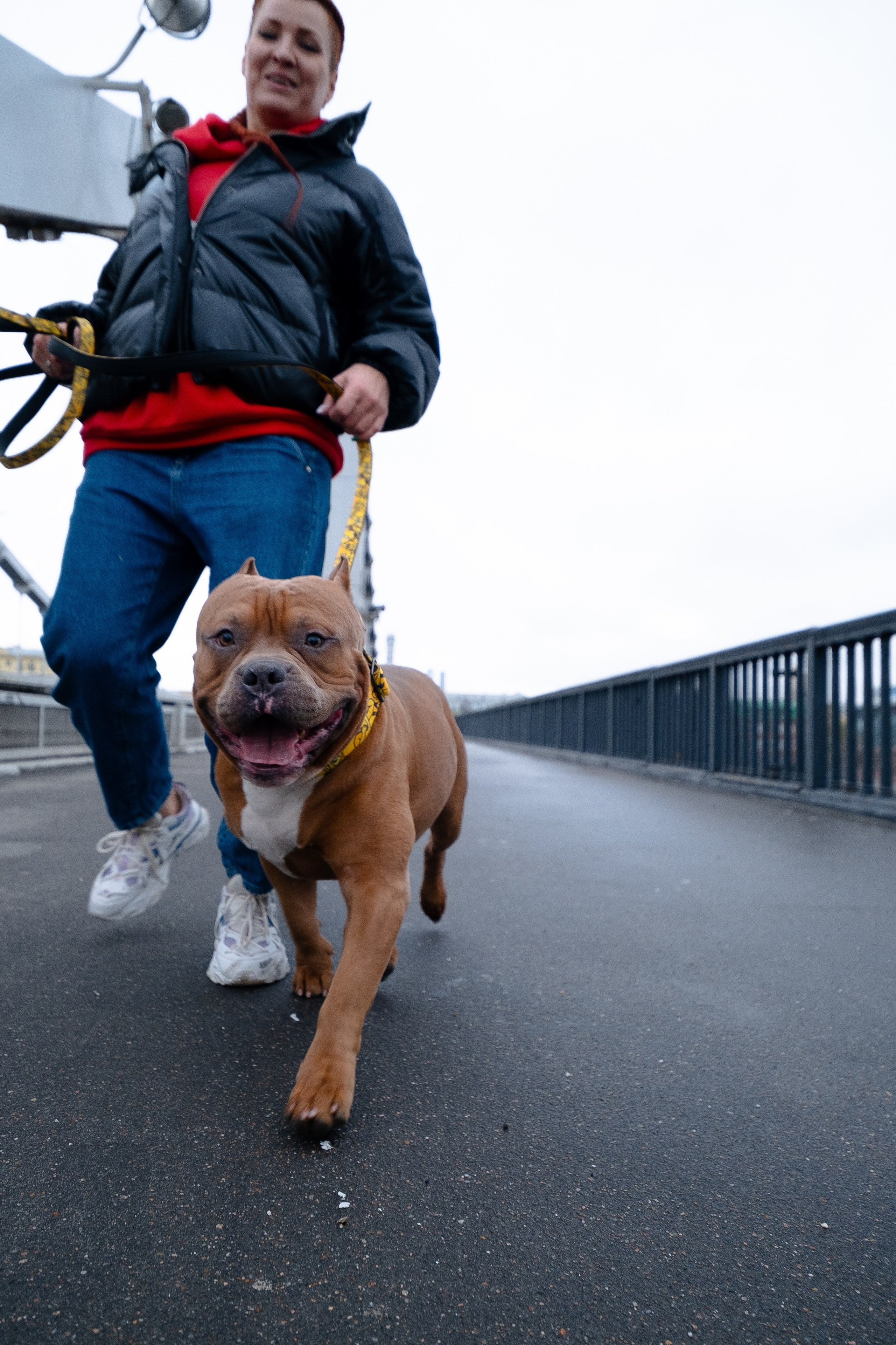 Спай и его семья. Фотограф и видеограф анималист Аганина Дарья