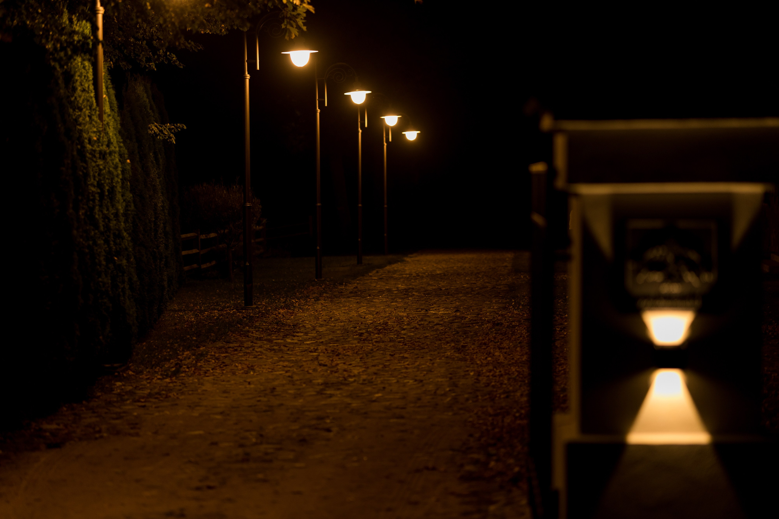 Д&Е. Свадебный фотограф Гомель