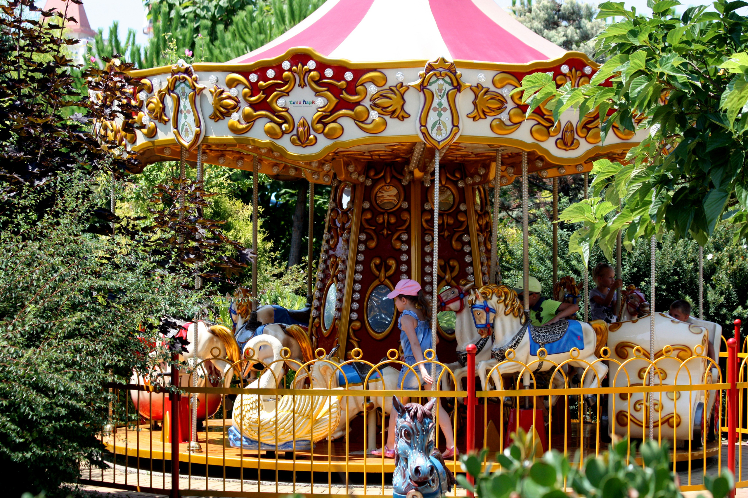 Первые кадры. Сочи — парк. Фотограф Роман Адлер