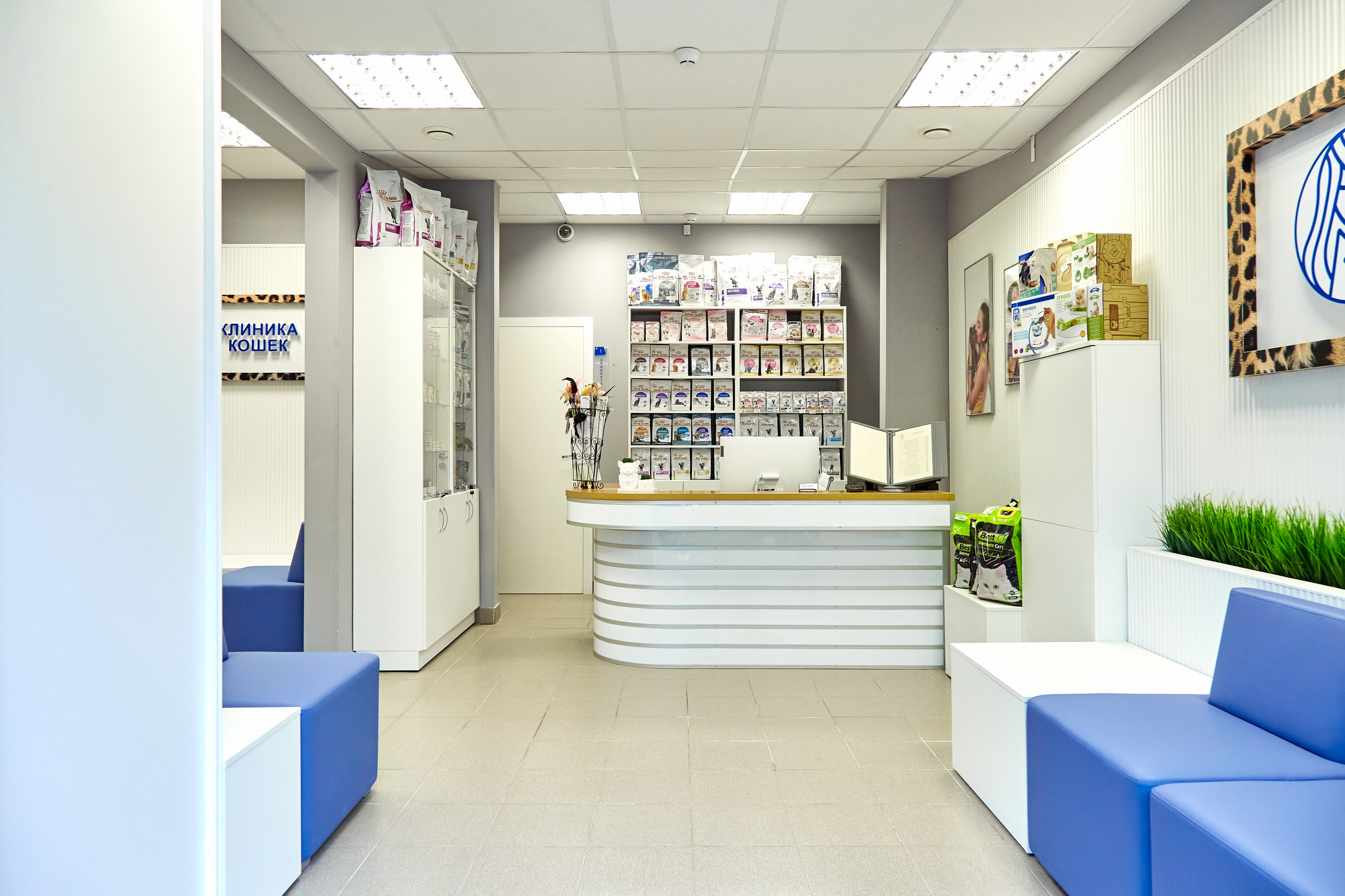 Клиника кошек. Фотограф Анастасия Леонтьева Санкт-Петербург