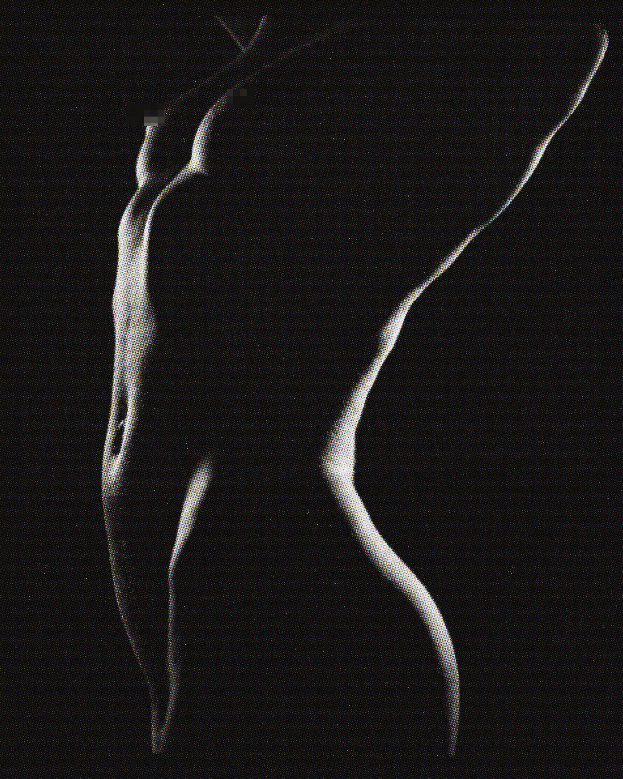 Art nude photography in Moscow