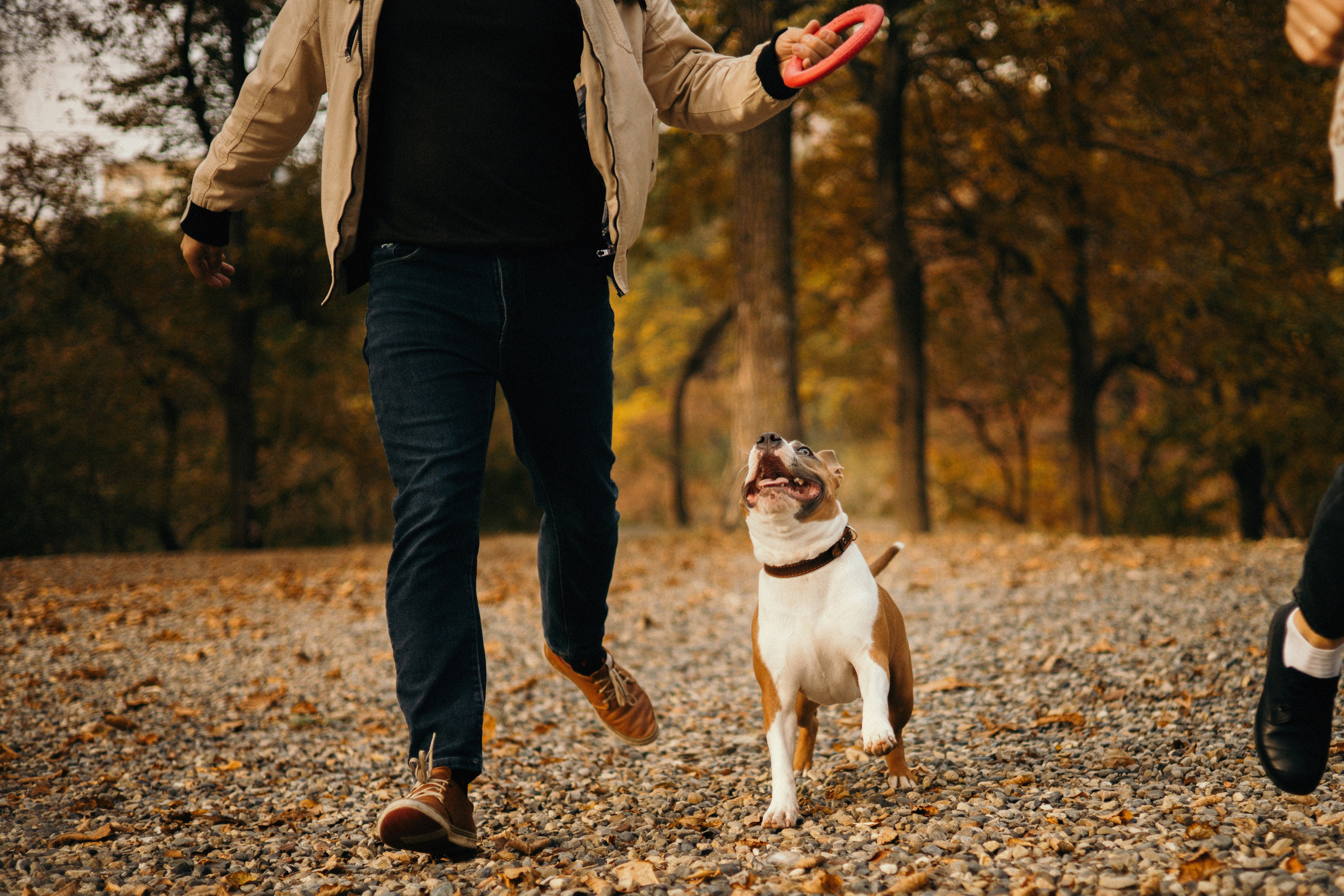 Лаффи и ее семья. Фотограф — анималист Владивосток, Алина