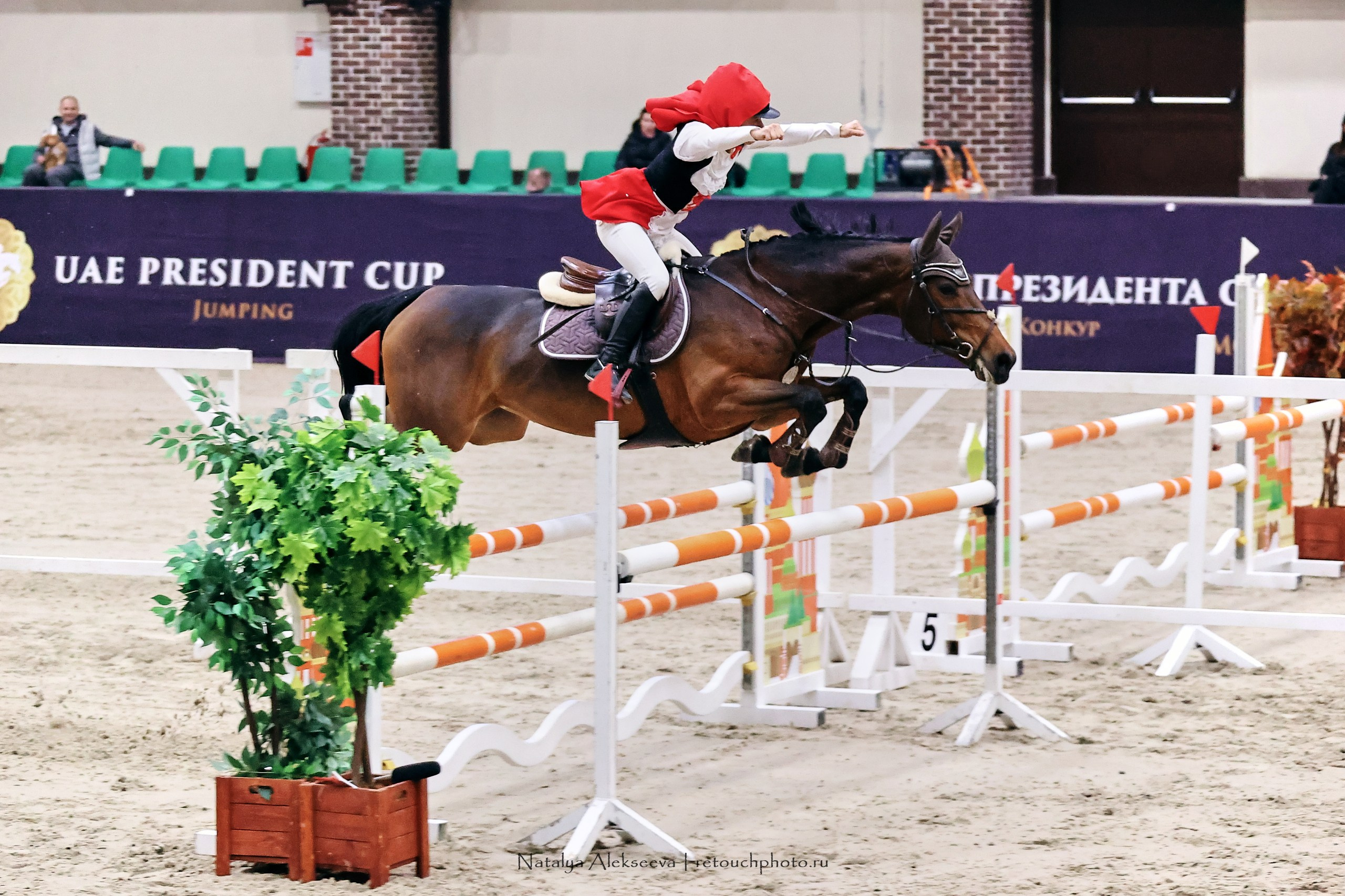 Кубок Президента ОАЭ по конкуру, Maxima Stables | 11'2023. Репортажный фотограф и ретушер в Москве Наталья Алексеева