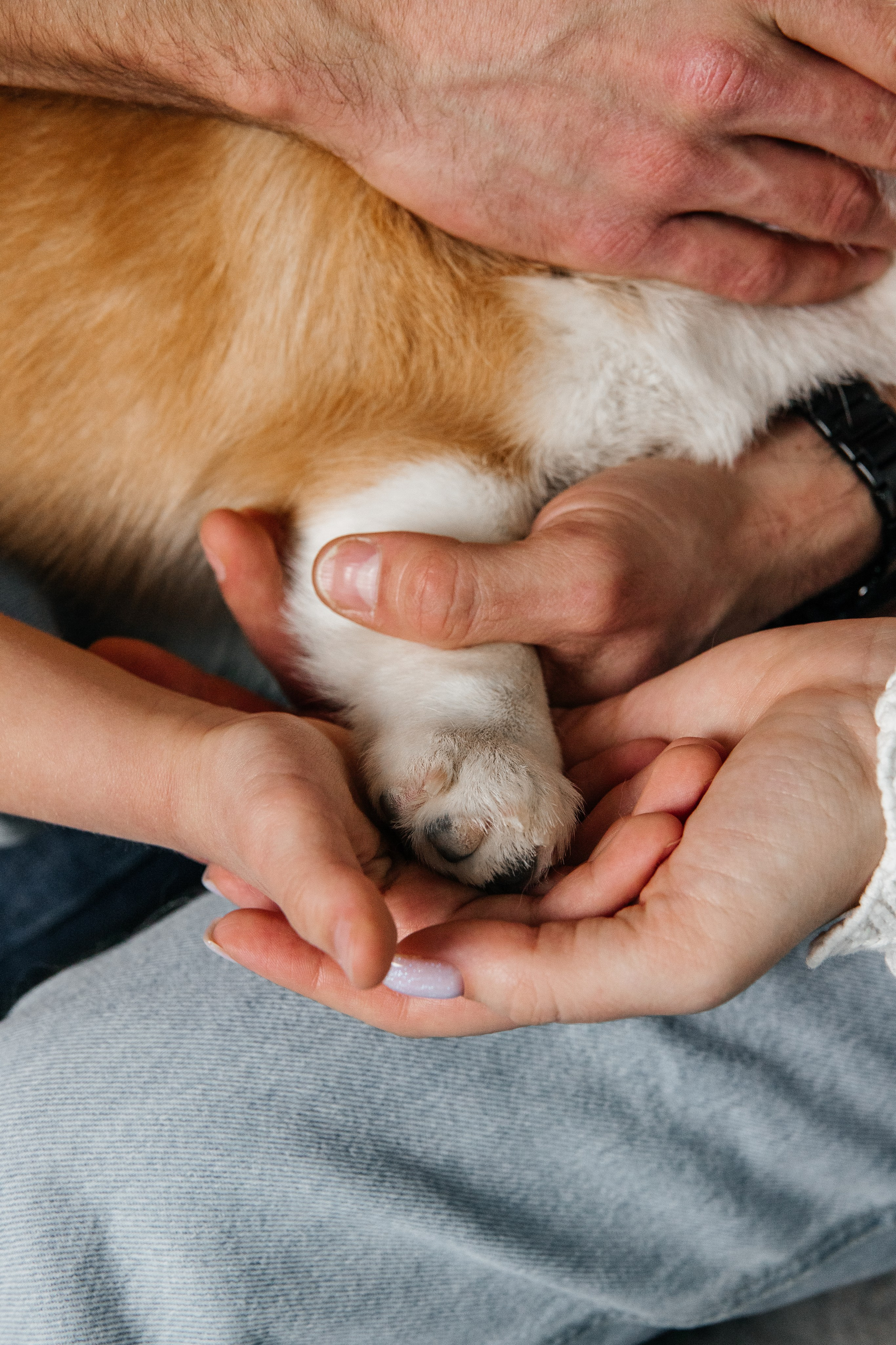 Семейная/детская история. Фотограф на ваш знаменательный день Рязань, Москва.Екатерина Королькова