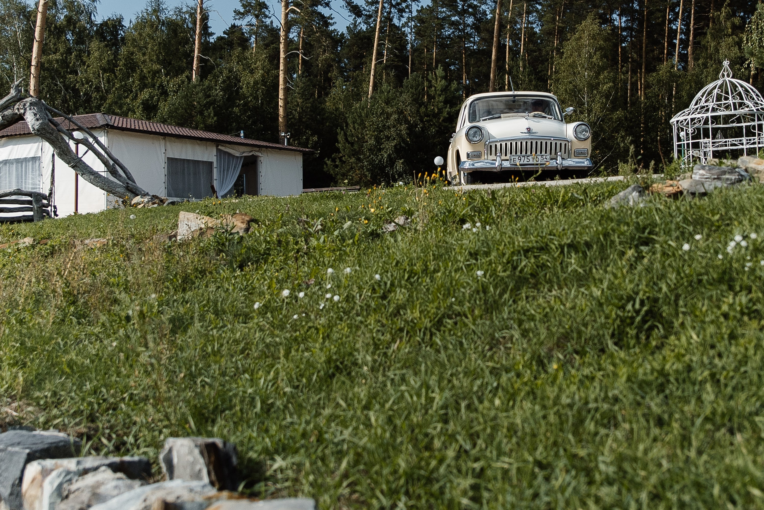 Свадебная вечеринка. Свадебный  фотограф Новосибирск