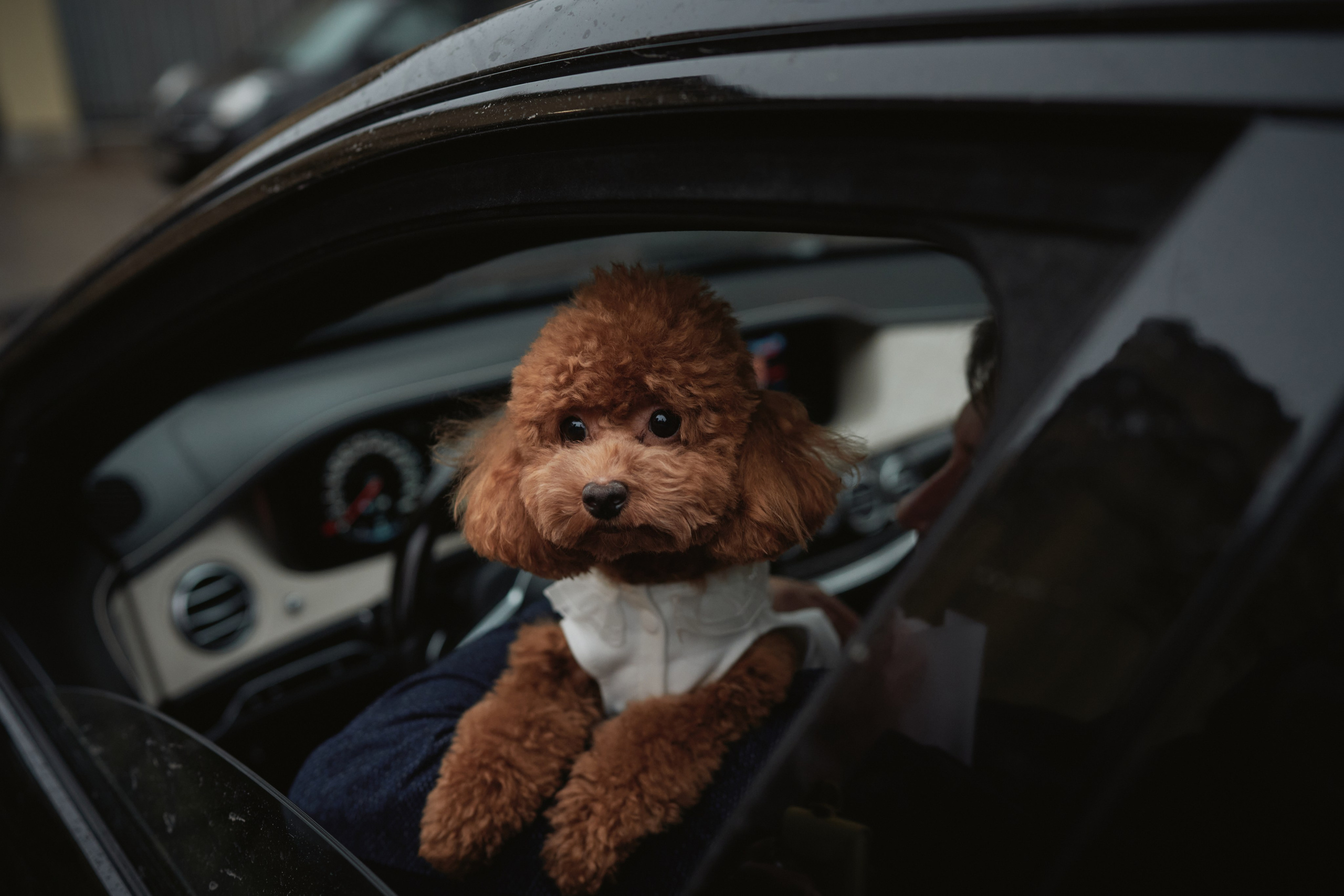 Аня и Дима. Фотограф в Санкт-Петербурге | Аня Маленчук