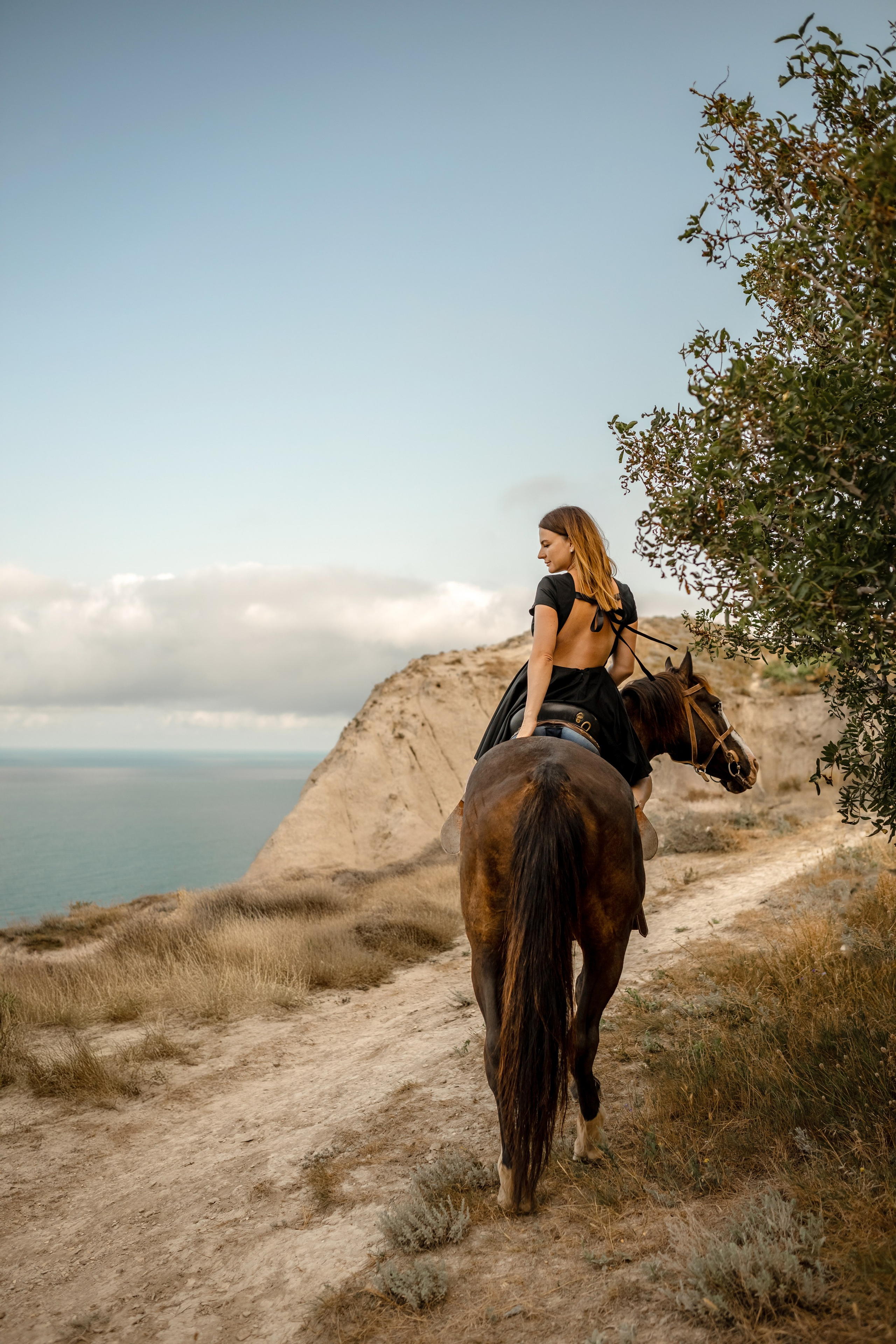 Лошади. Художественный фотограф Анапа Александра Долбикова