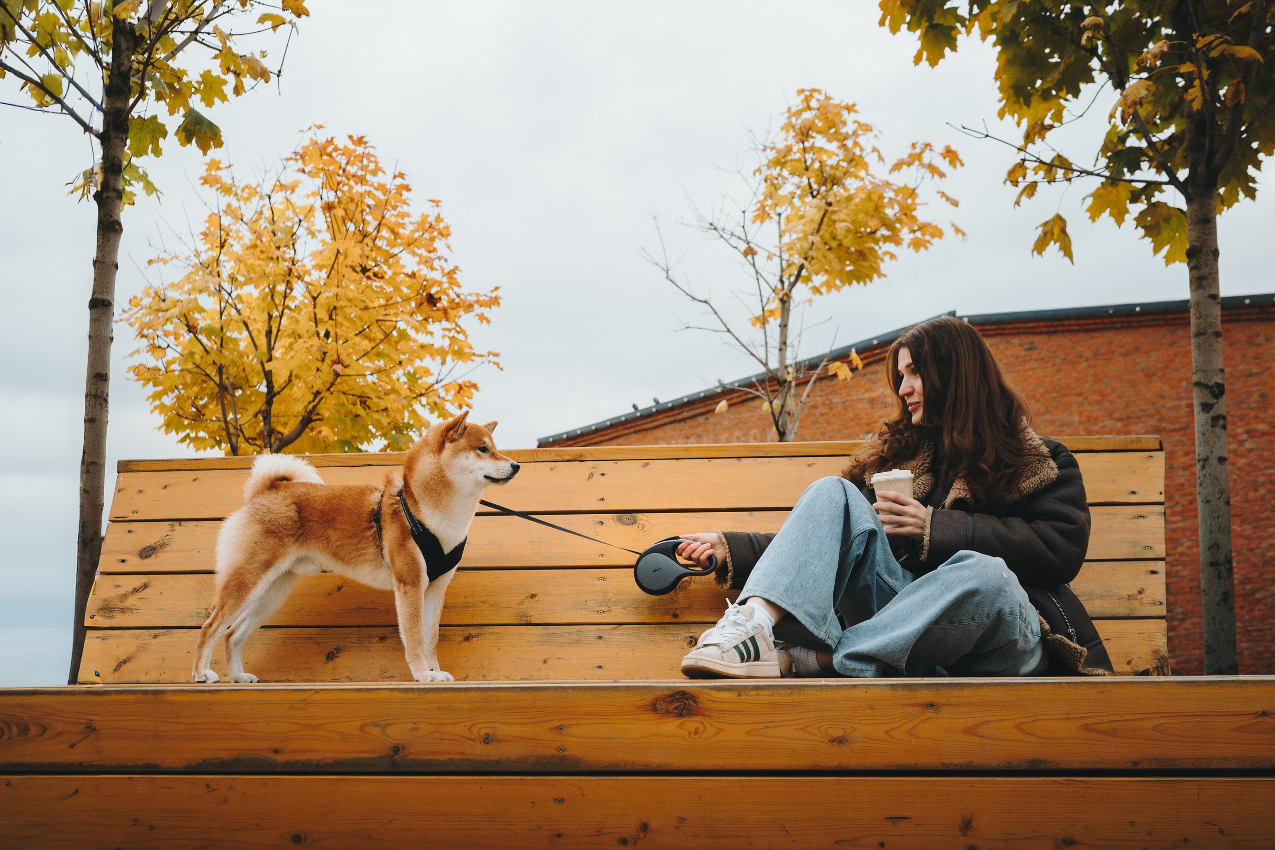Pawsitive. Семейный фотограф анималист Ананьева Мария — Москва