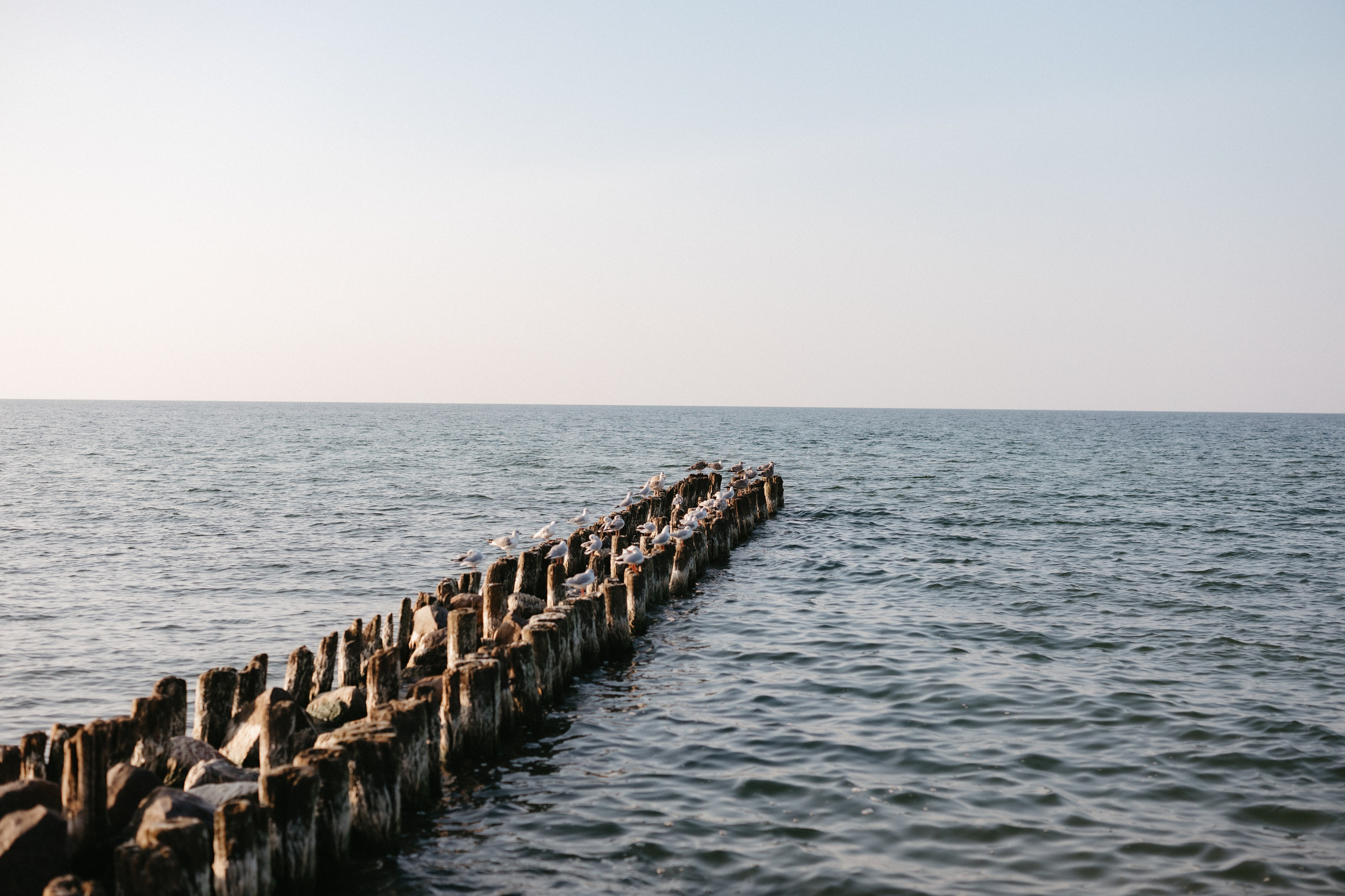 Море.Любовь. Евгения Пелипас