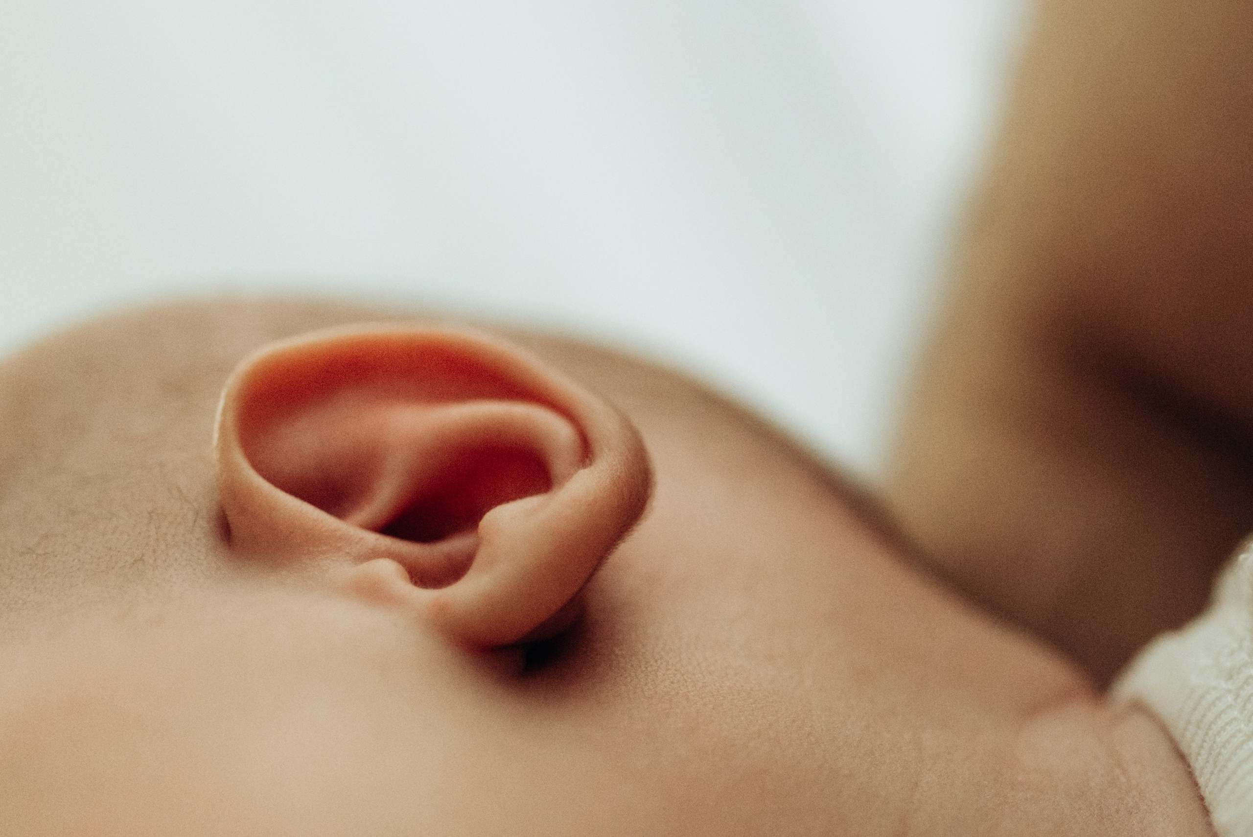 Паша. Семейный и детский фотограф в Щелково Алена Дробот