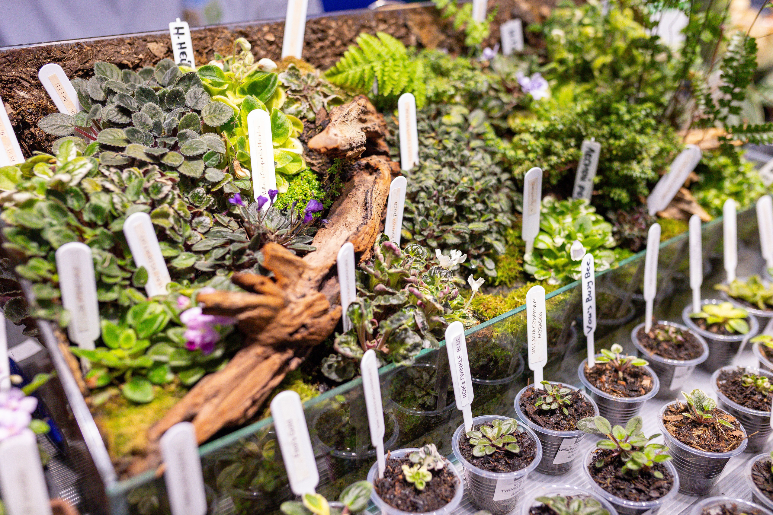 Монстериум 11–12 октября. Александра Куликова фотограф, Москва