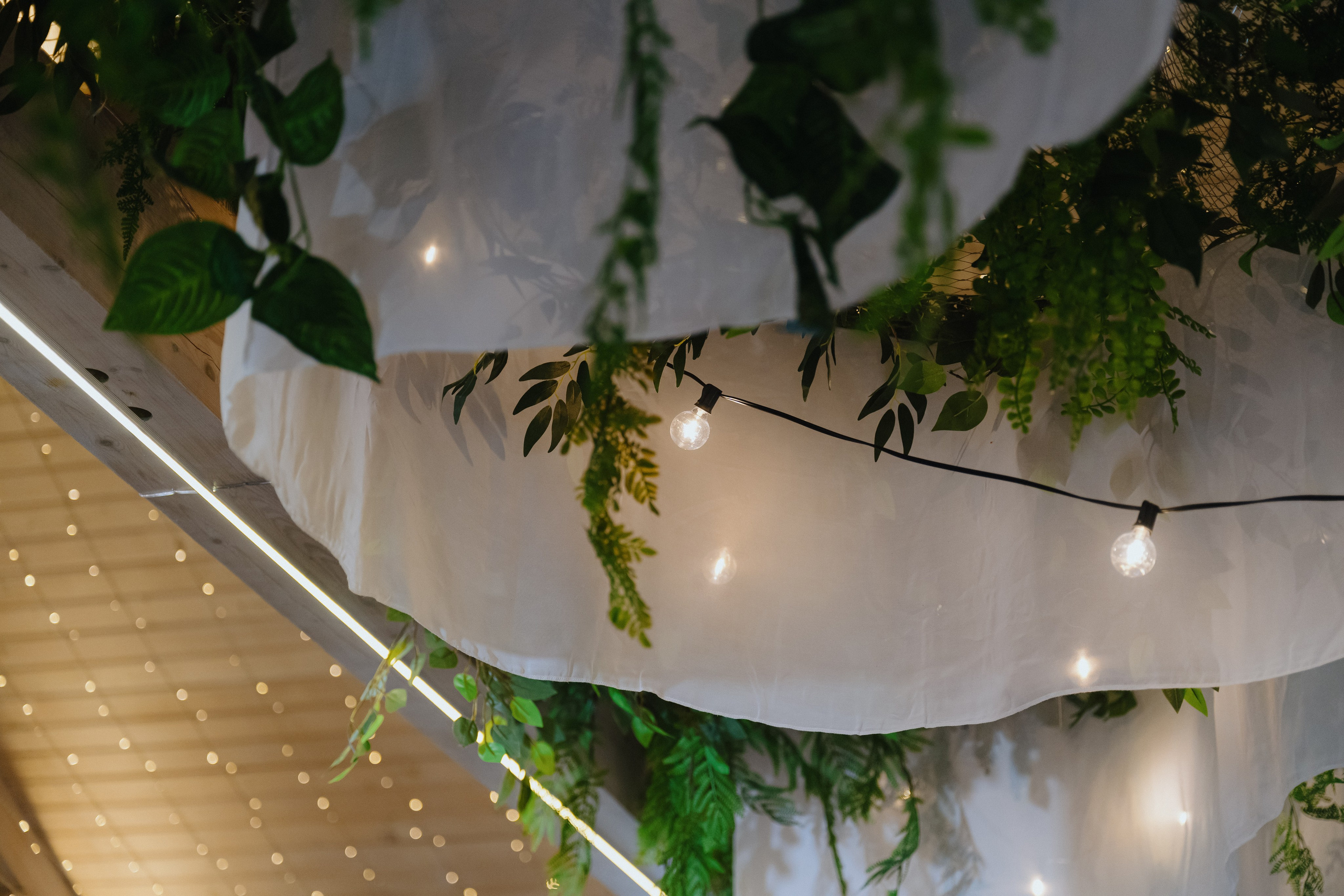 Диана & Игорь, Сосновый бор