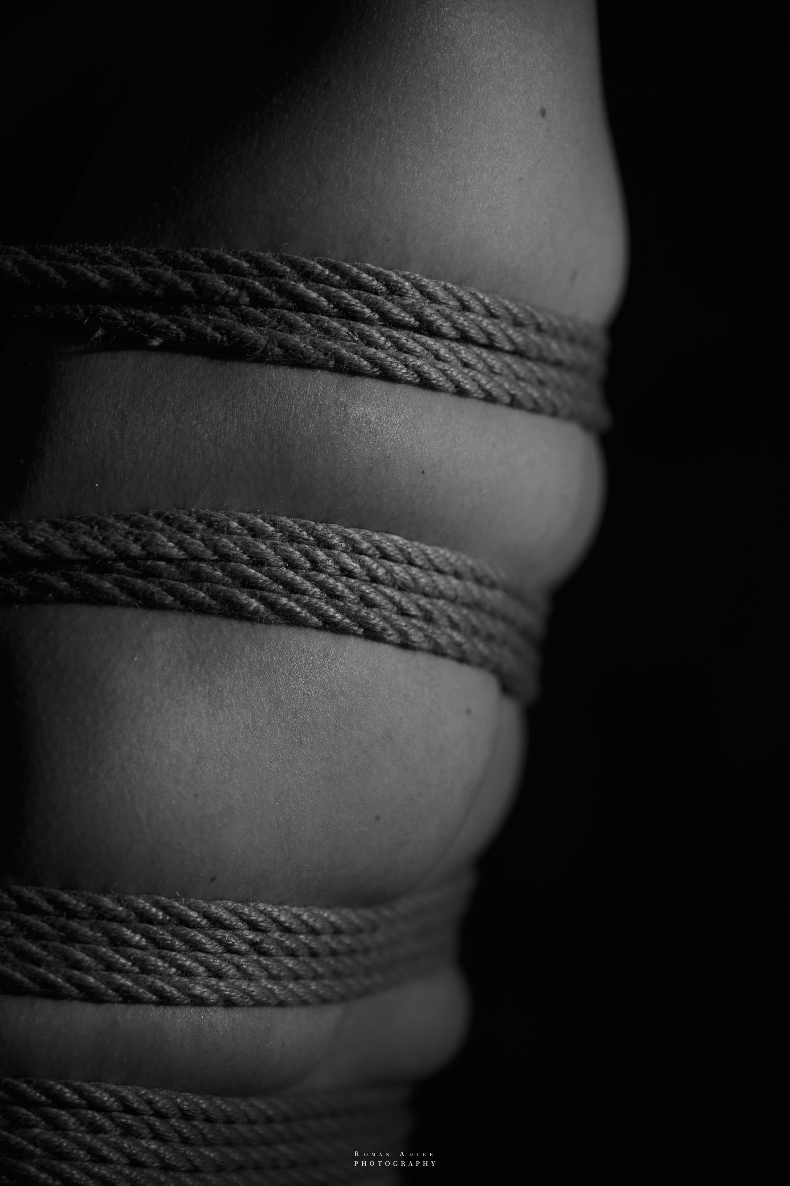 Семинар-презентация осветительного оборудования DEDOLIGHT. Фотограф Роман Адлер