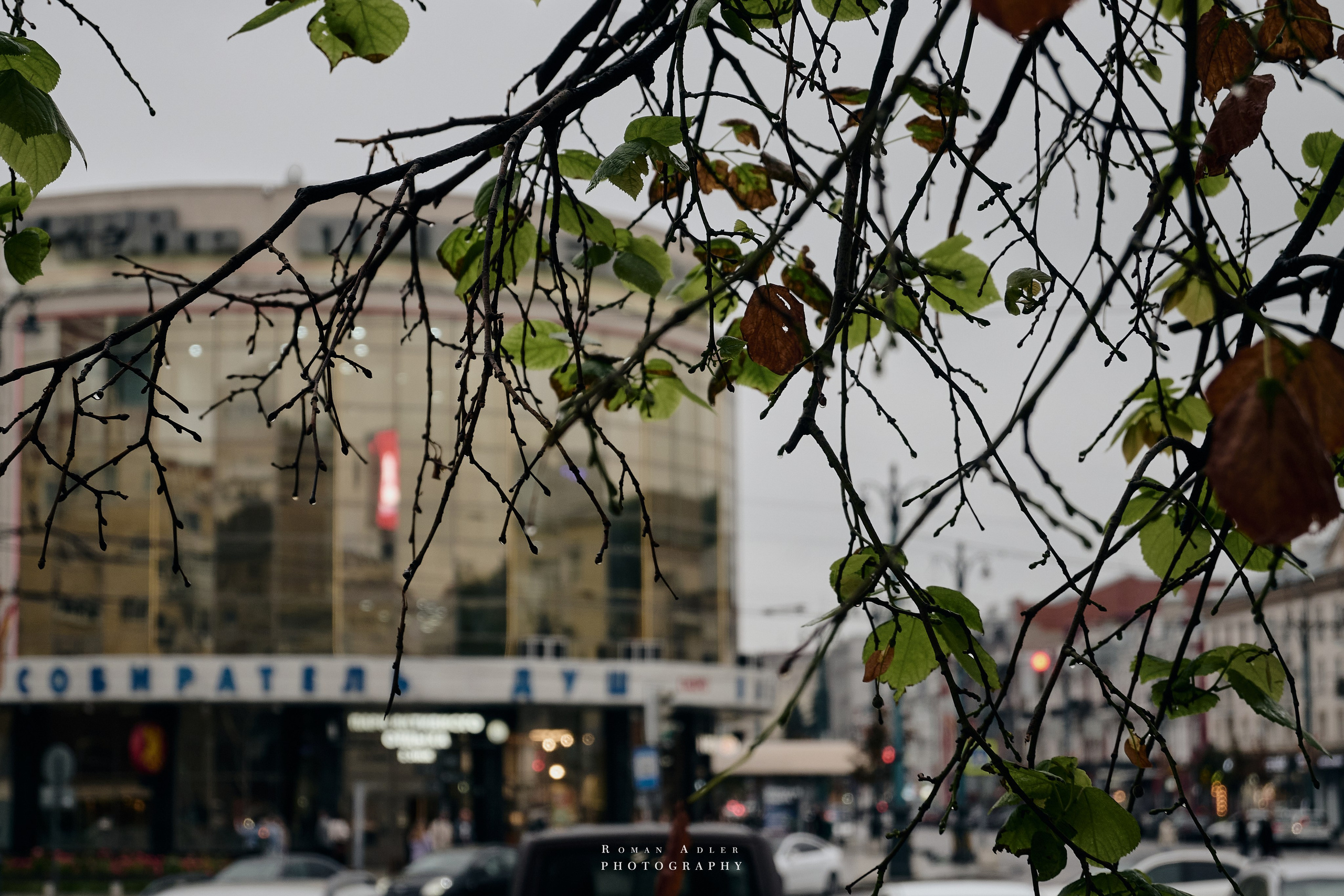 Воронеж. Август 2024. Фотограф Роман Адлер