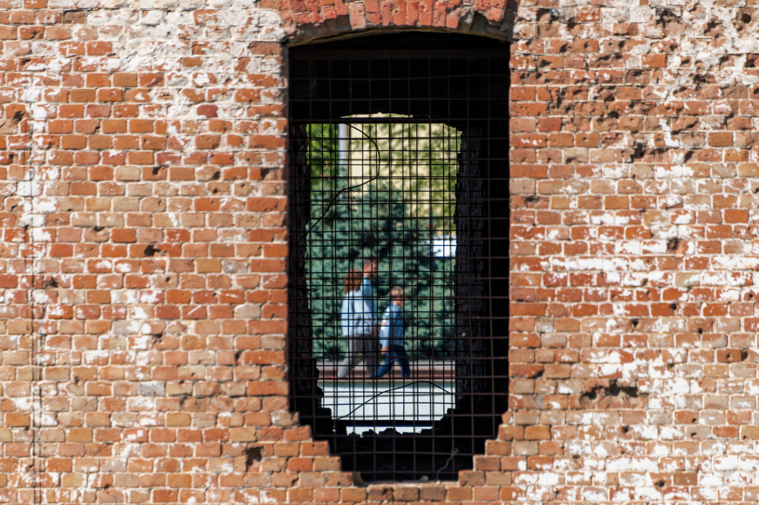 Волгоград. Сентябрь 2023. Фотограф Роман Адлер