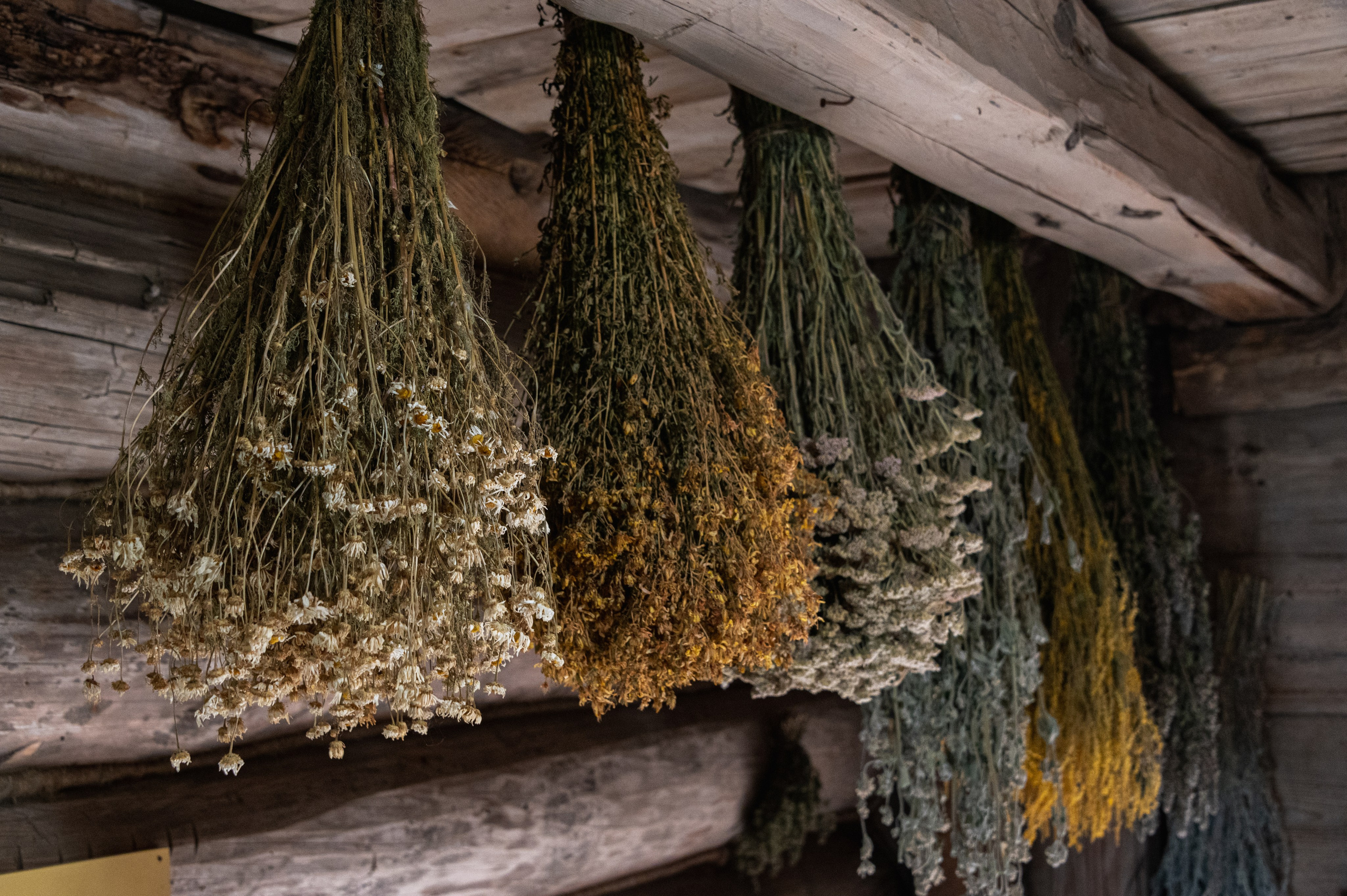 Суздаль. Май 2023. Фотограф Роман Адлер