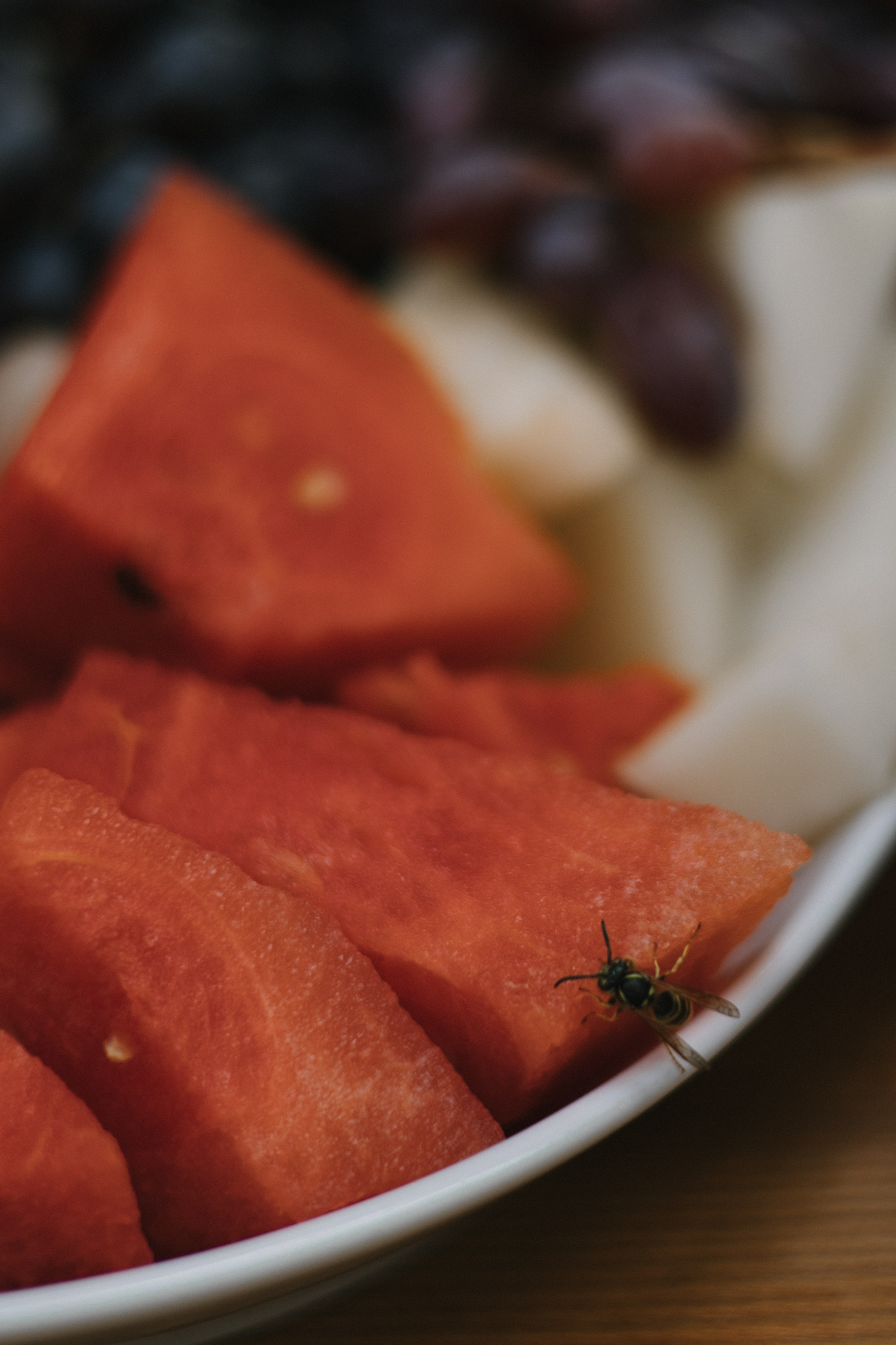 32 человека и 1 кот. Свадебный и семейный фотограф в Санкт-Петербурге и Москве