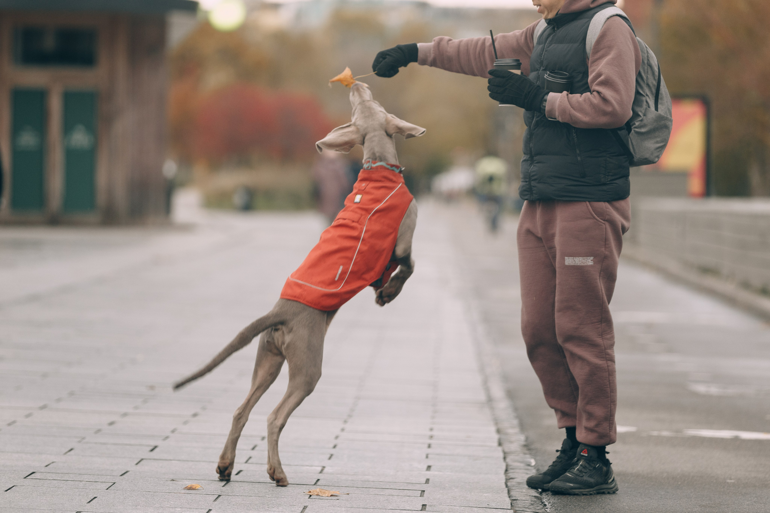 Оля, Саша и Бастиан. Фотограф анималист Кристина Карпова, Москва