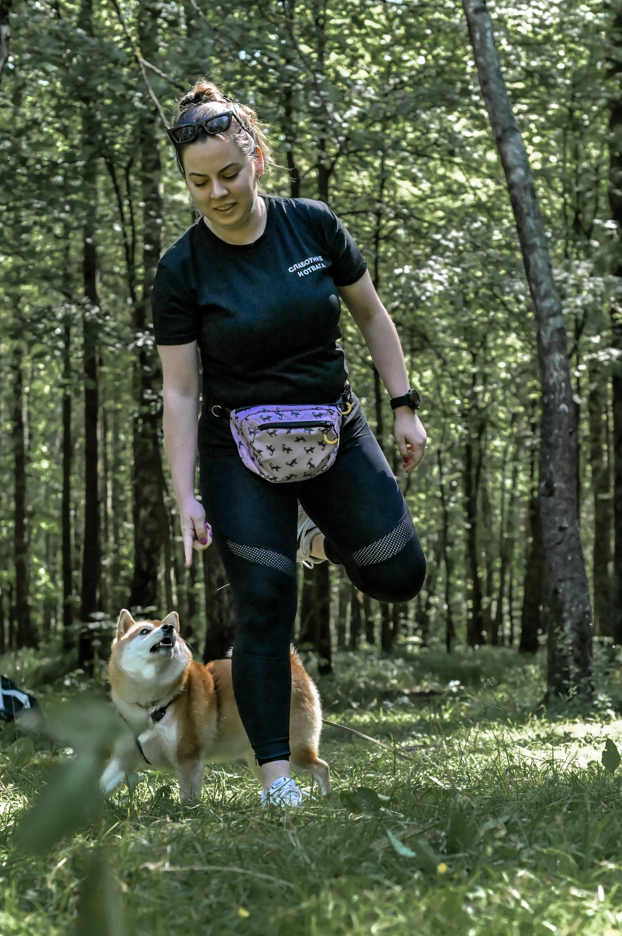 Кинологические соревнования. Семейный и репортажный фотограф в Москве Анастасия Трубкина