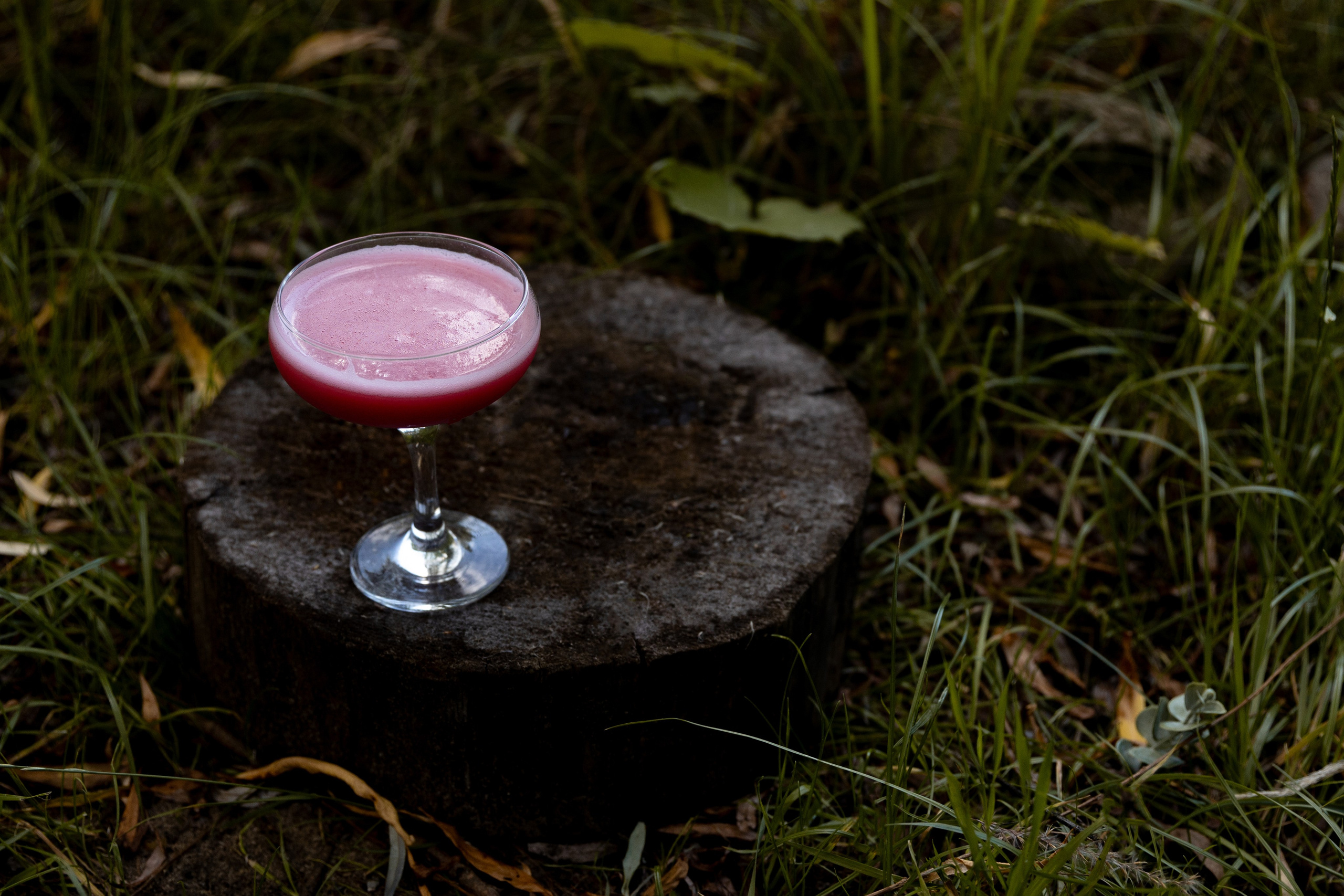 Таня и Ваня, площадка «Таёжный». Свадебный фотограф | Москва