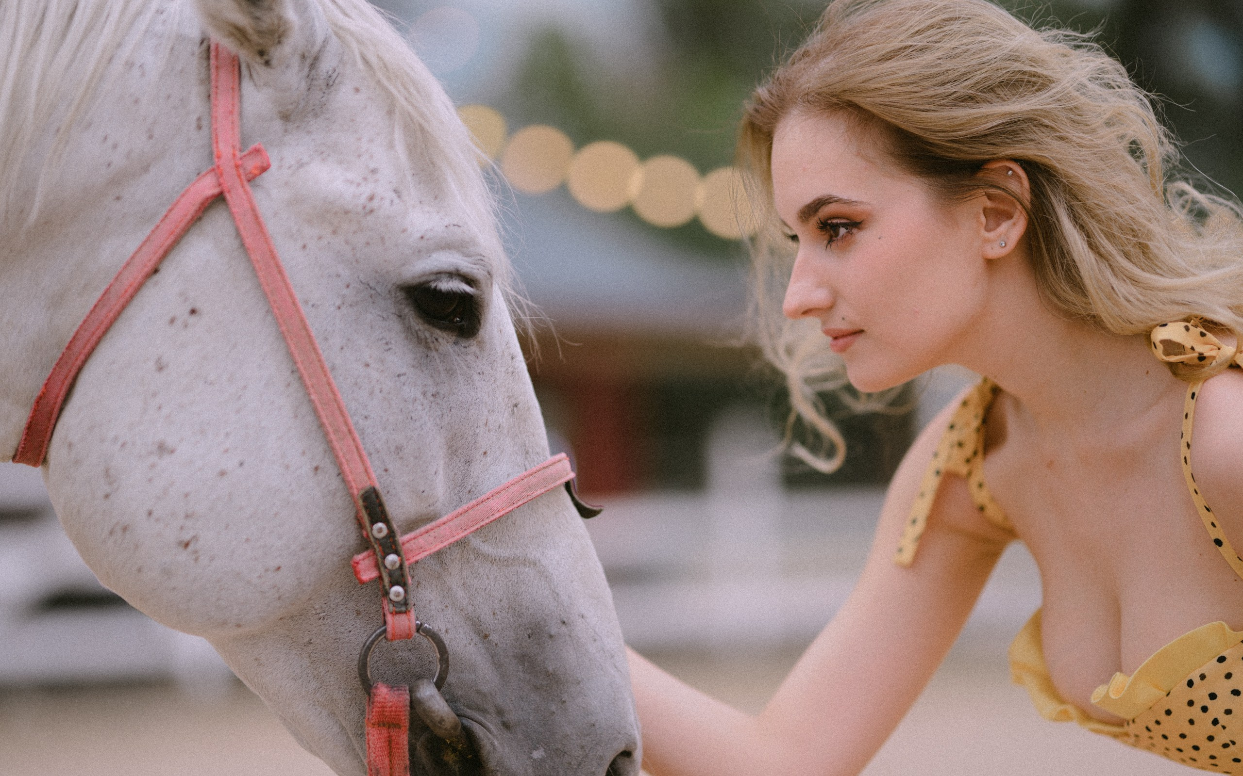 The Equine Muse. Фотограф в Алматы Анастасия Новоселова