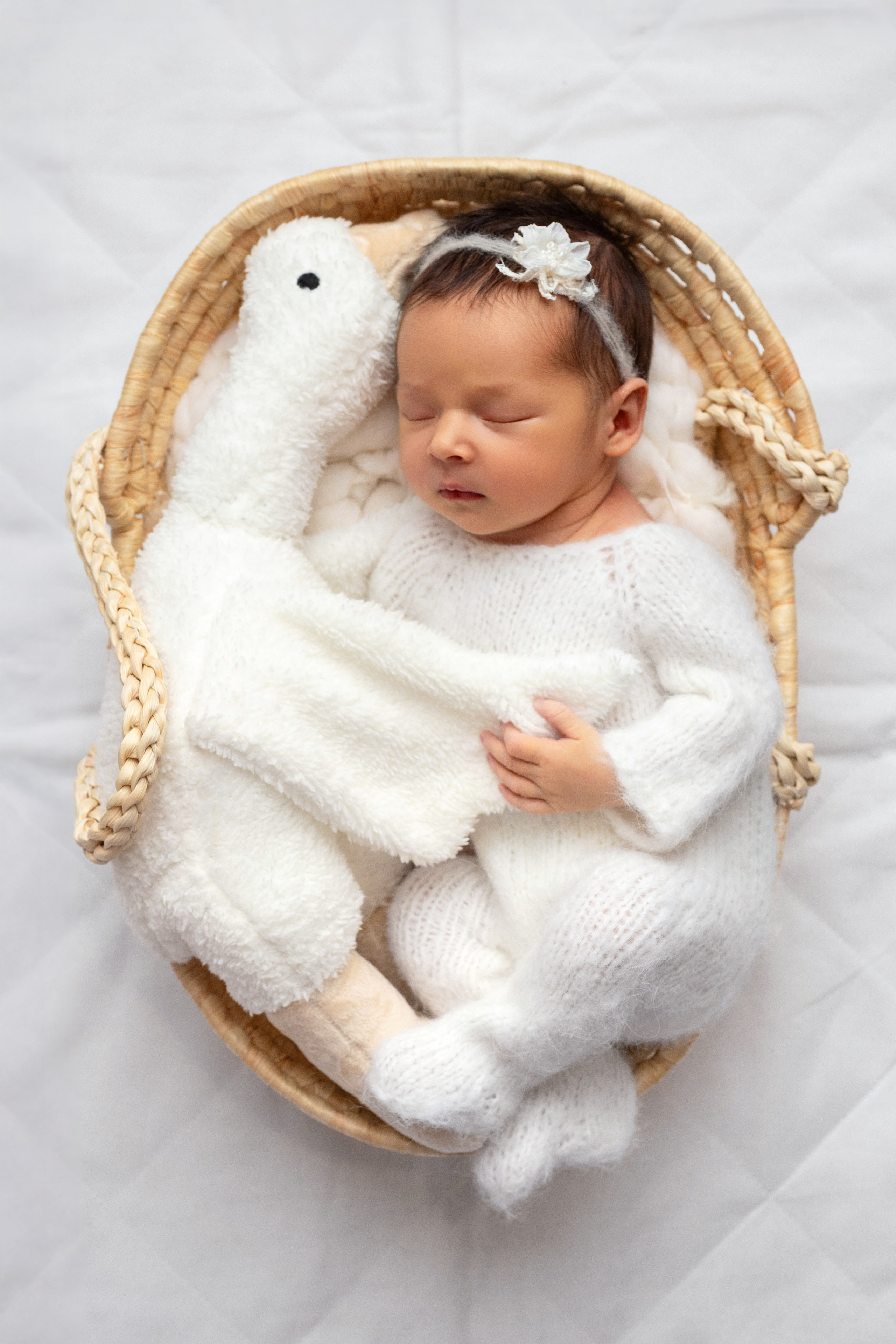 Новорожденные. Фотограф беременности, фотограф новорожденных Анна Нельзина