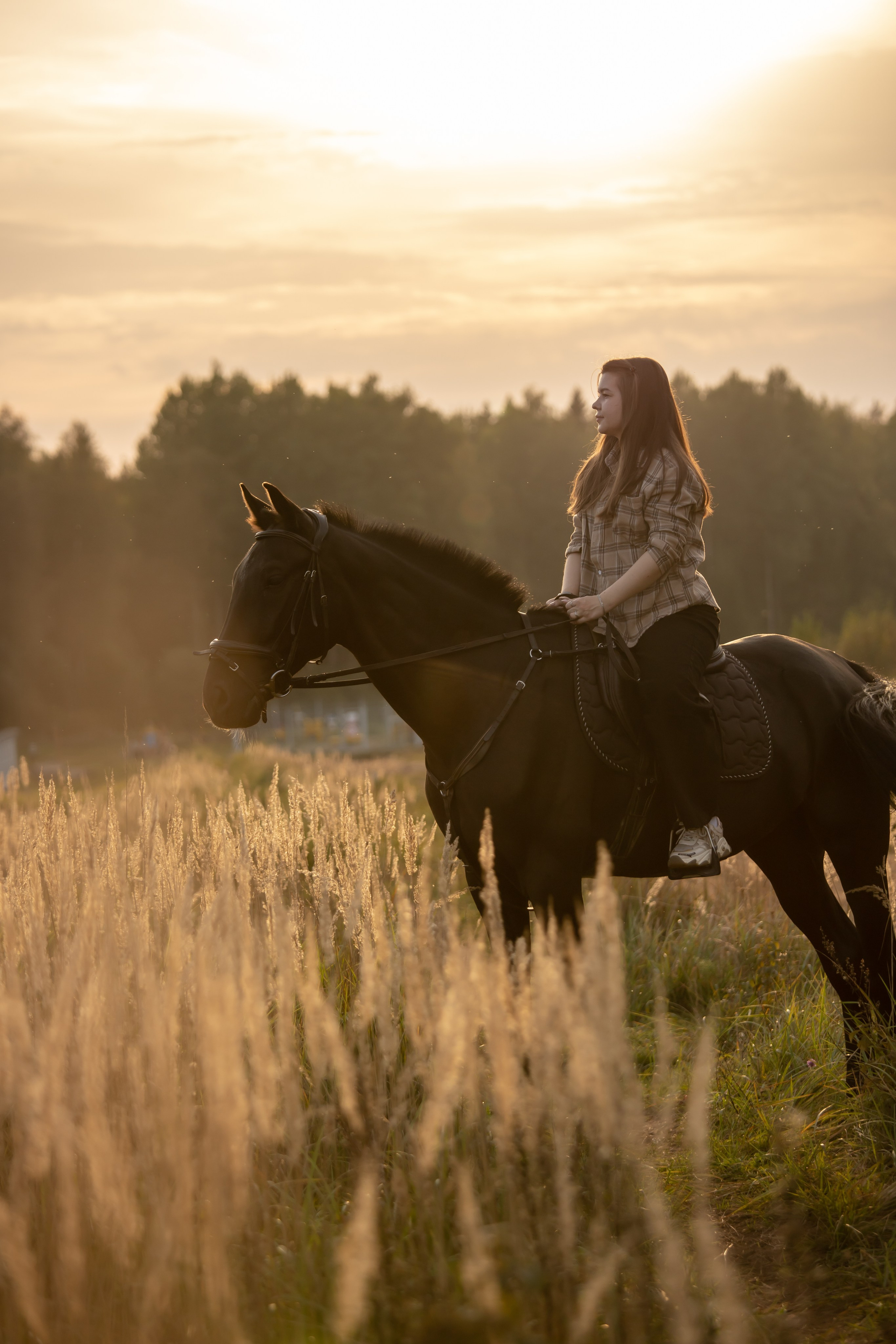 Фотопрогулки с Гороскопом. Конный фотограф в Санкт-Петербурге Анна Лебедева