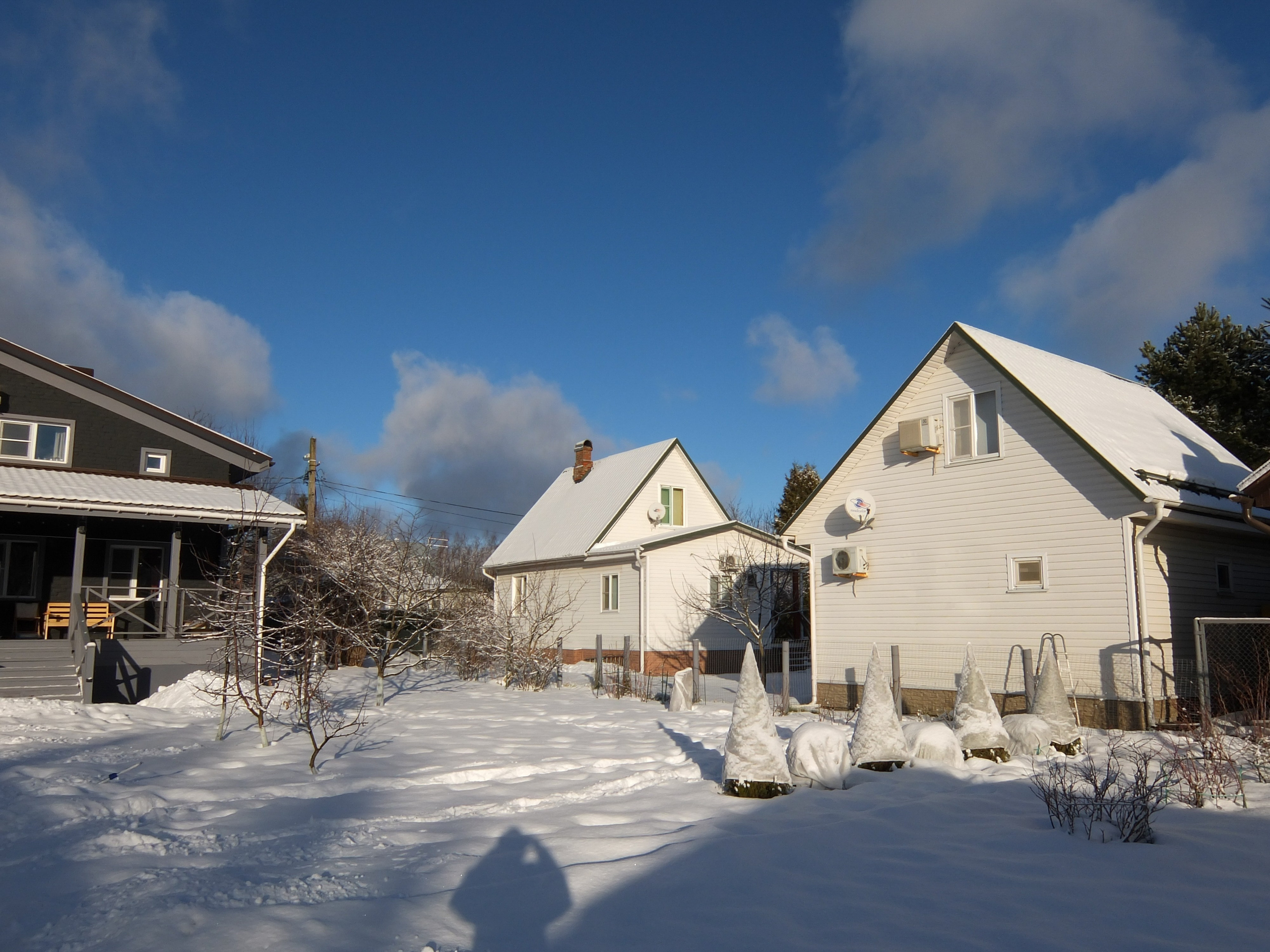 Солнечный день Нового Года. Фотограф-документалист Мария Осокина