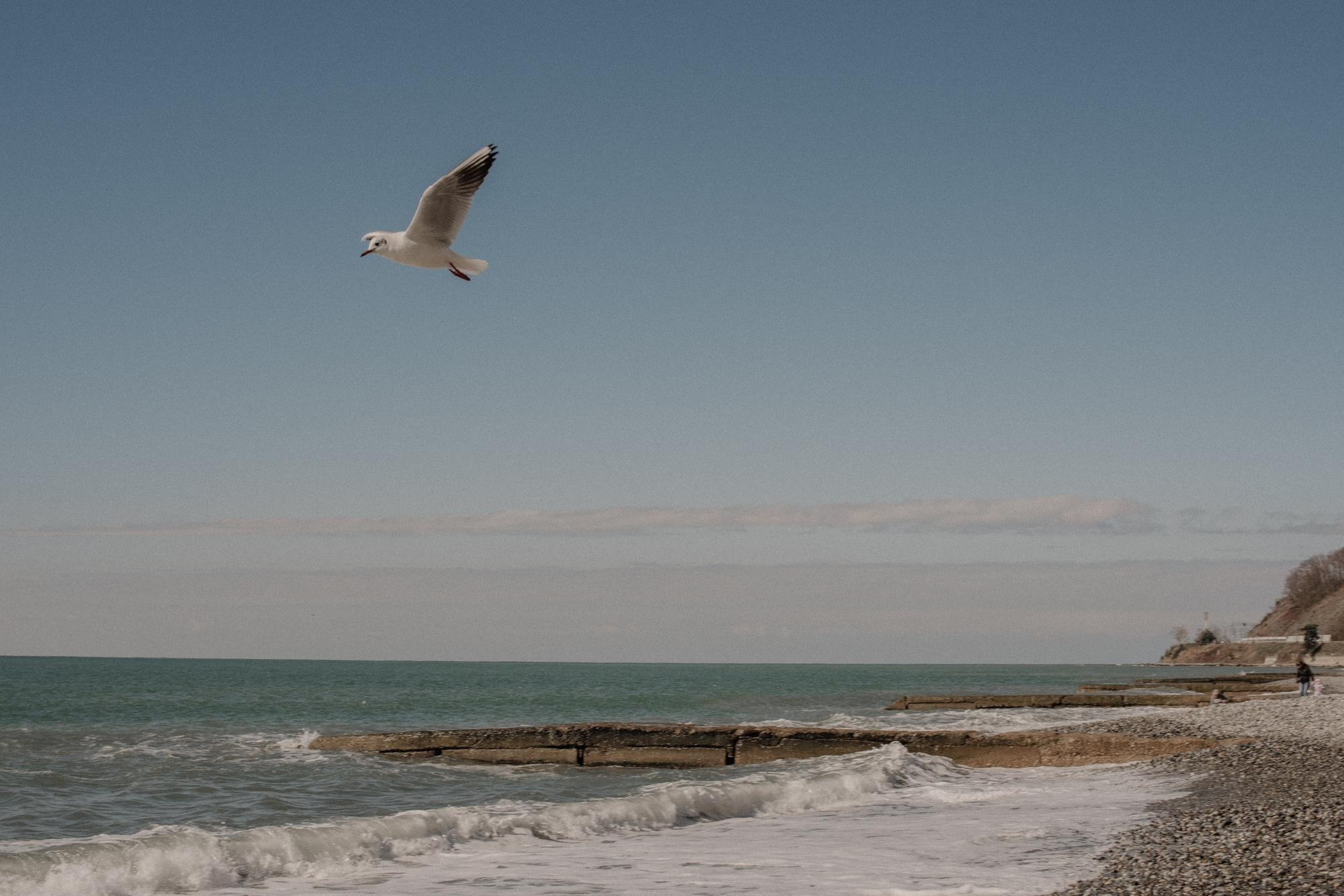 Любить в Сочи. Свадебный фотограф в Москве Юлия Лисой