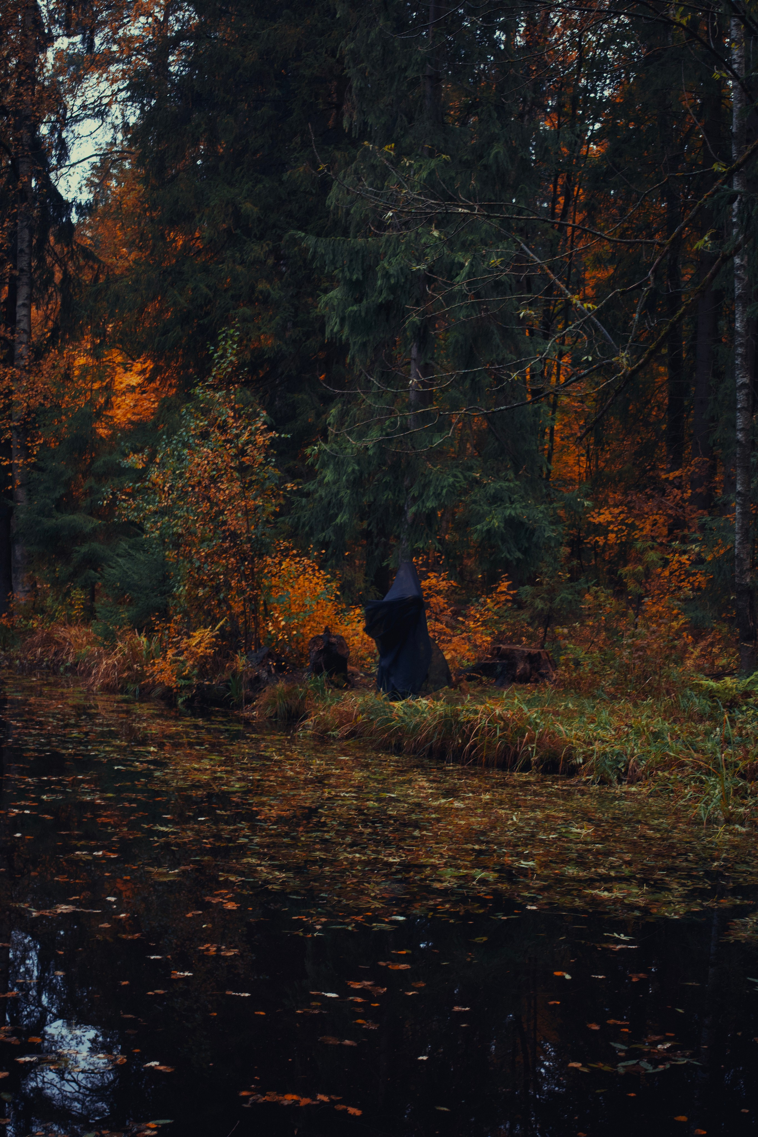 Где спит туман. Ваагн Малхасян | Фотограф | Санкт-Петербург. Создаю атмосферные кадры