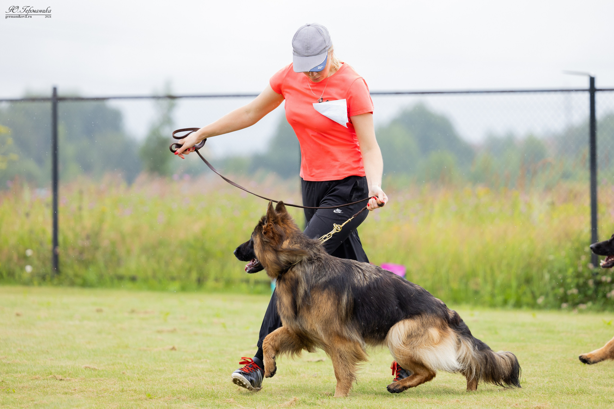 Ярославль 21.07.24 и Балашиха 13.07.24. Фотограф-анималист Юлия Германика