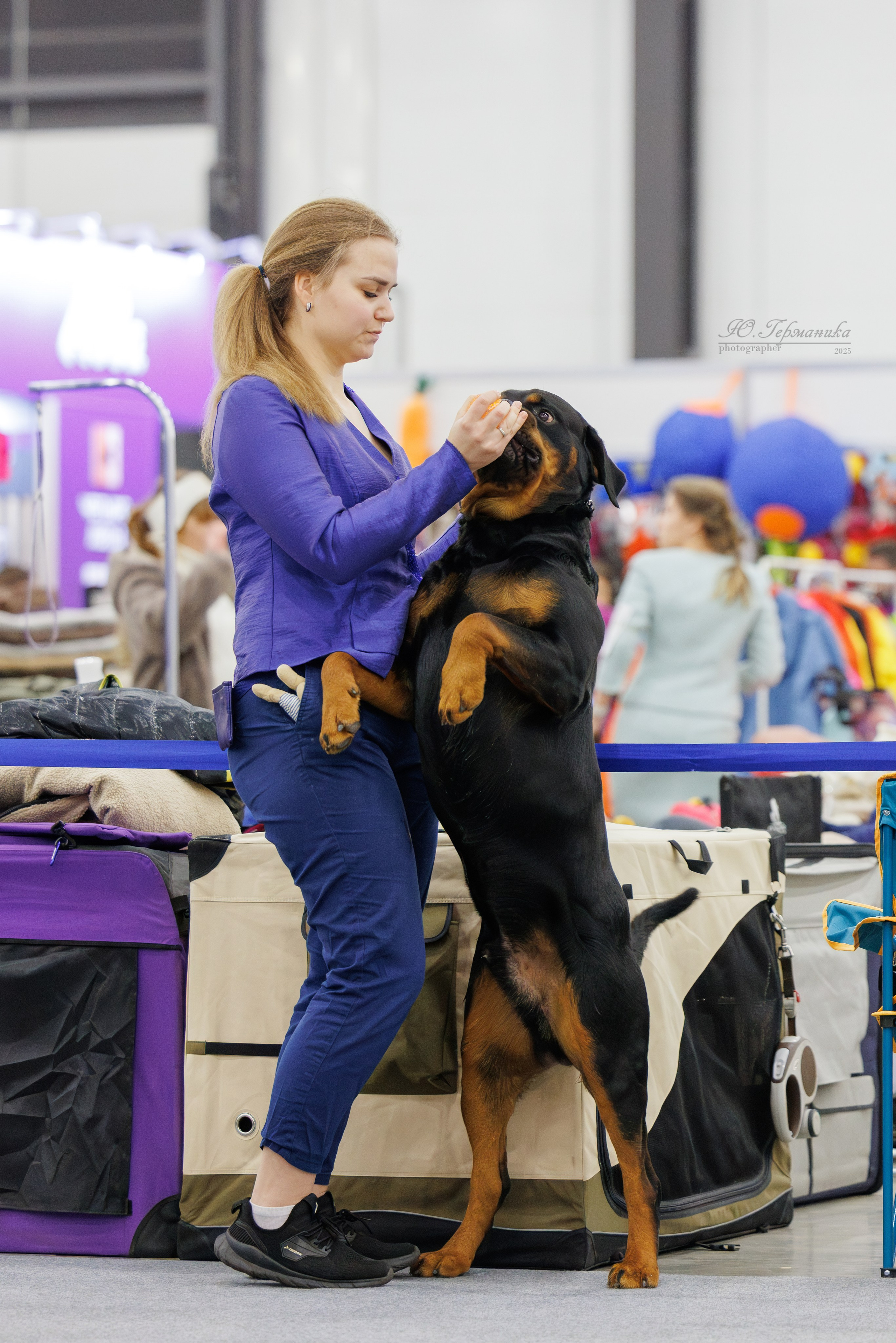 Питер 12-13.12.2025. Фотограф-анималист Юлия Германика