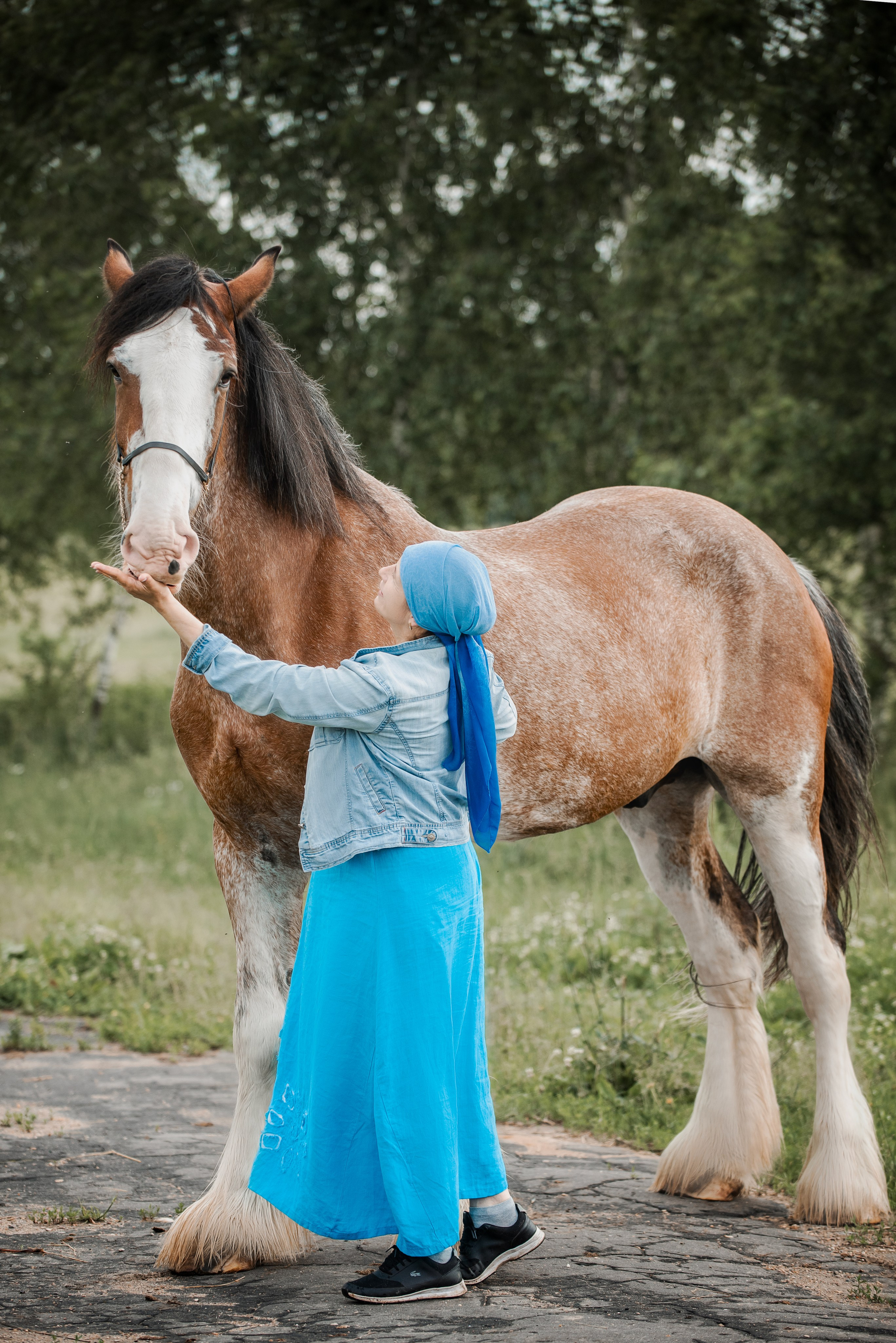 KOMARDINS. Конный фотограф Куракина Дарья • Фотосессии с лошадьми